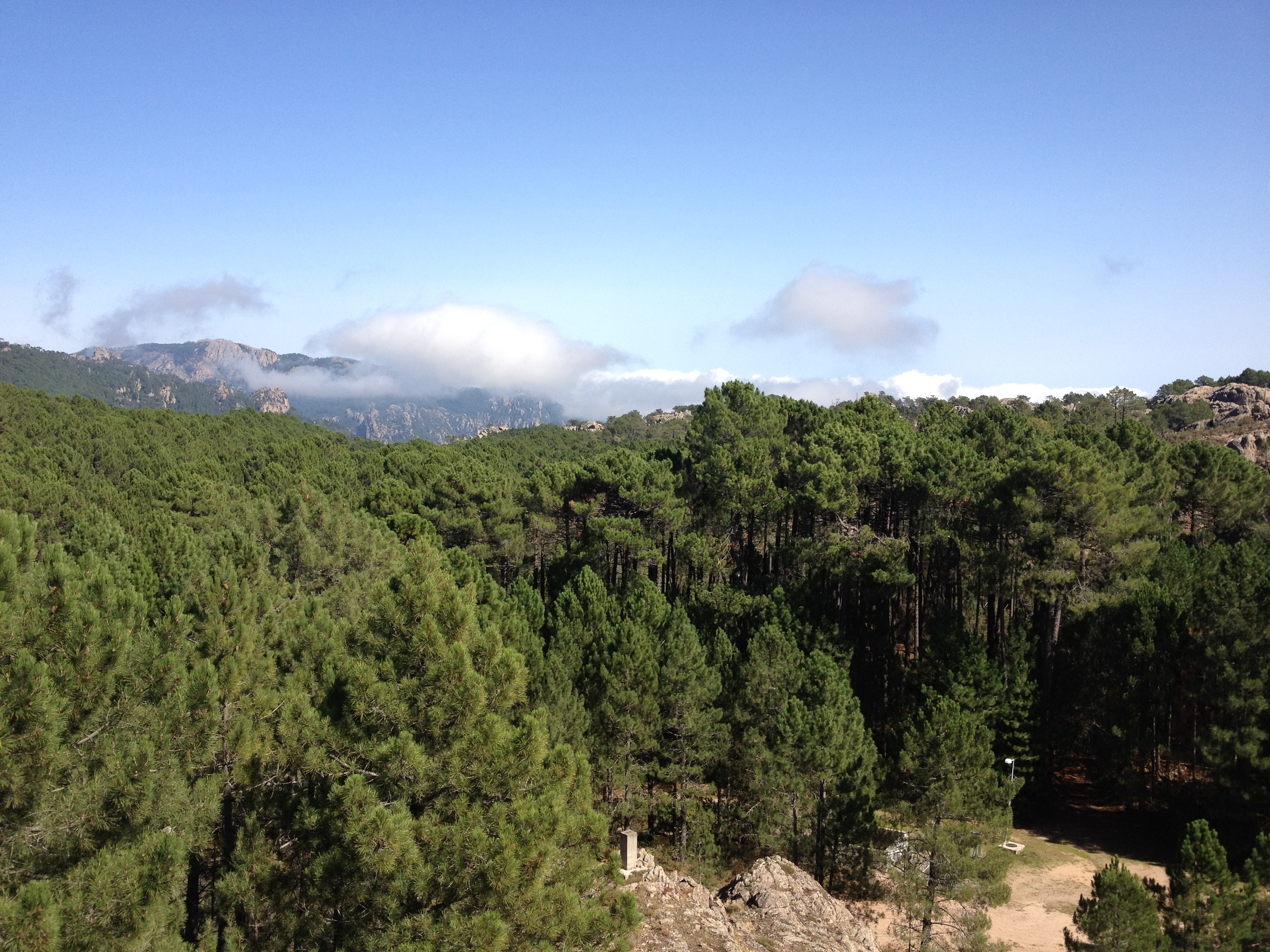 Picture France Corsica L'ospedale Forest 2012-09 7 - Discovery L'ospedale Forest