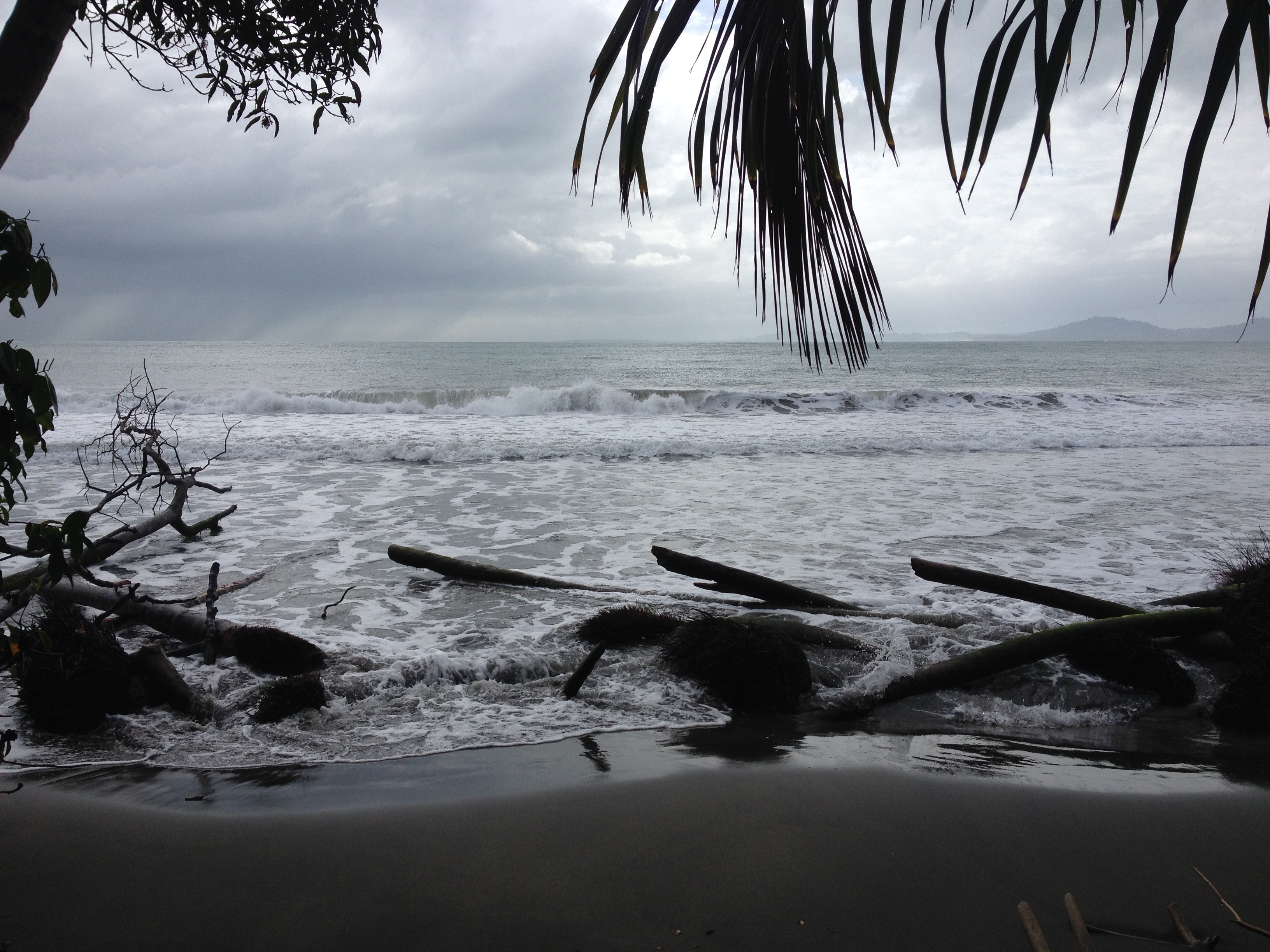 Picture Costa Rica Cahuita 2015-03 82 - Discovery Cahuita