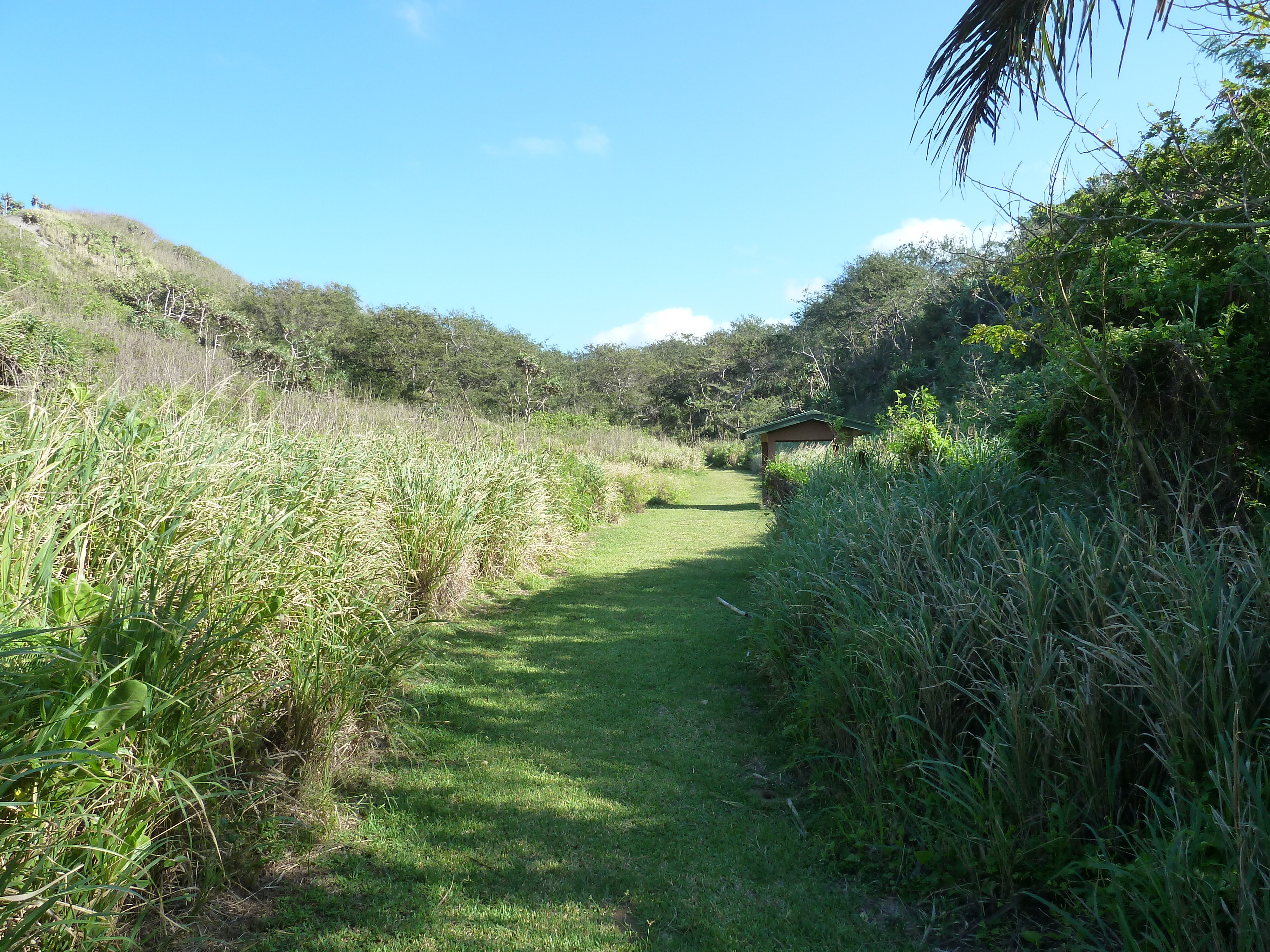 Picture Fiji Sigatoka sand dunes national park 2010-05 35 - Discovery Sigatoka sand dunes national park