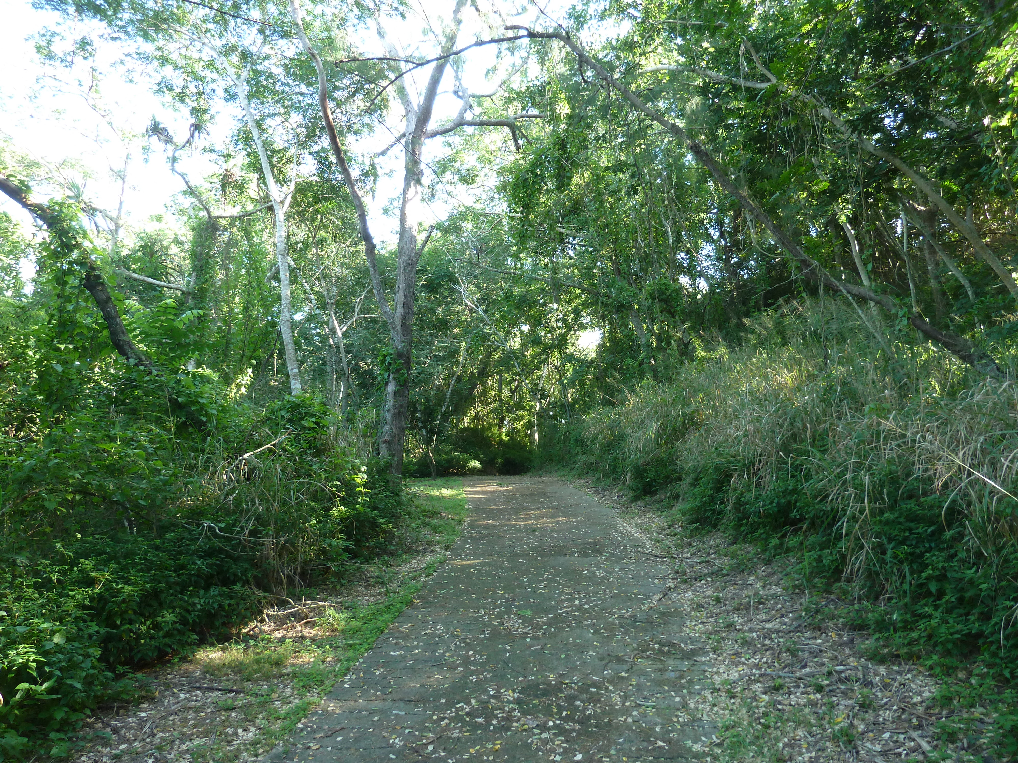 Picture Fiji Sigatoka sand dunes national park 2010-05 45 - Around Sigatoka sand dunes national park