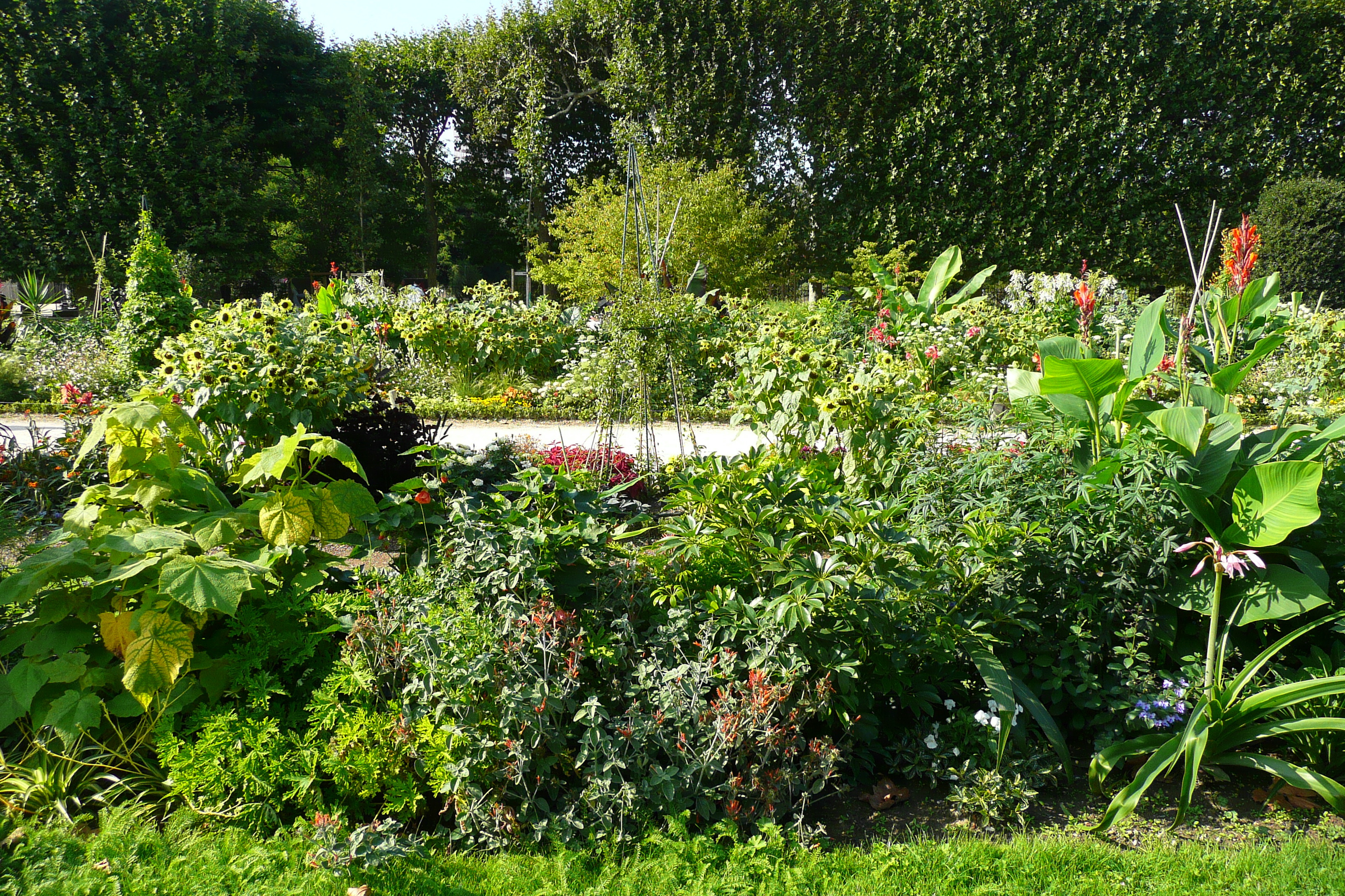 Picture France Paris Jardin des Plantes 2007-08 8 - Center Jardin des Plantes