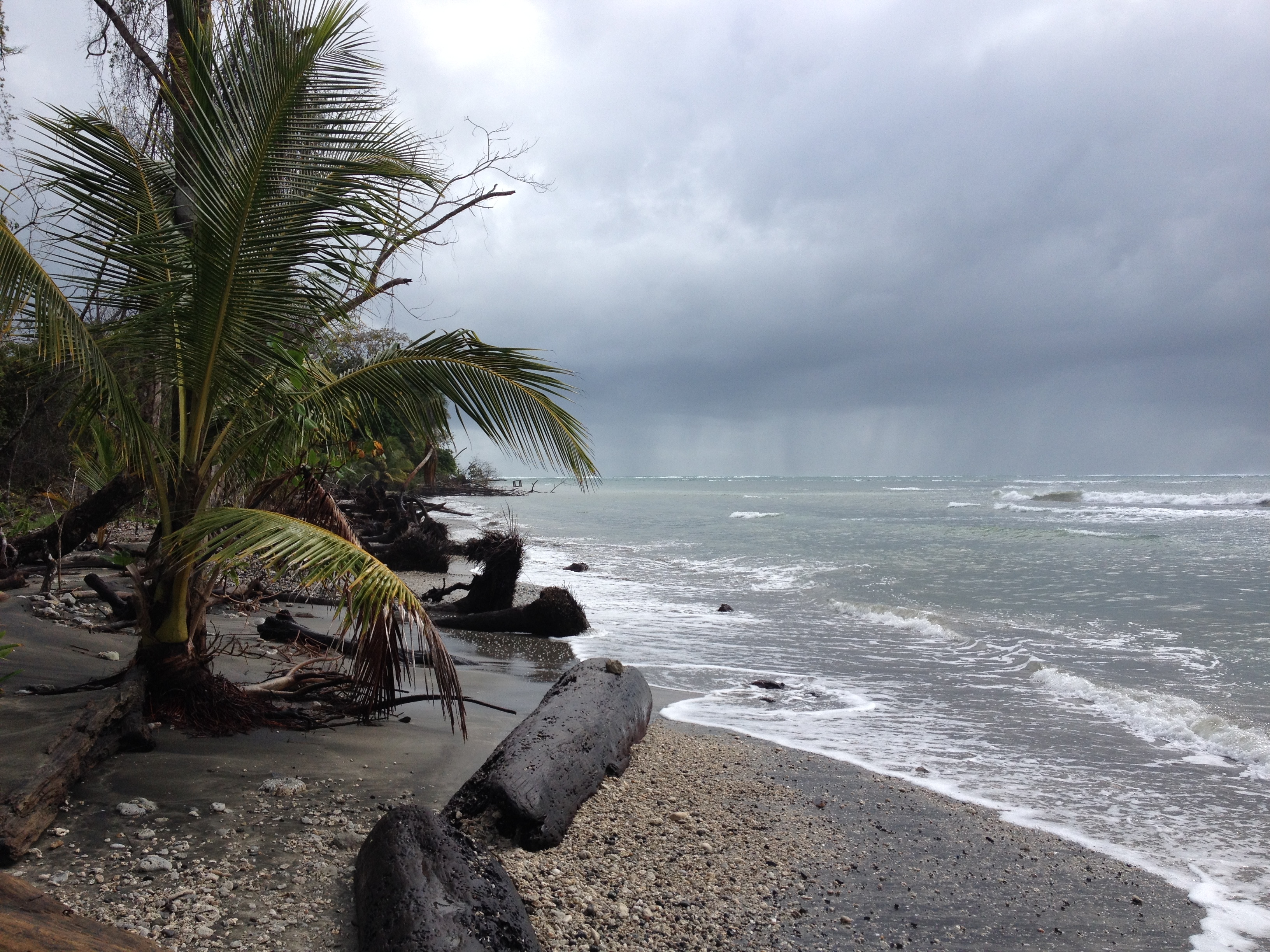 Picture Costa Rica Cahuita 2015-03 148 - Center Cahuita