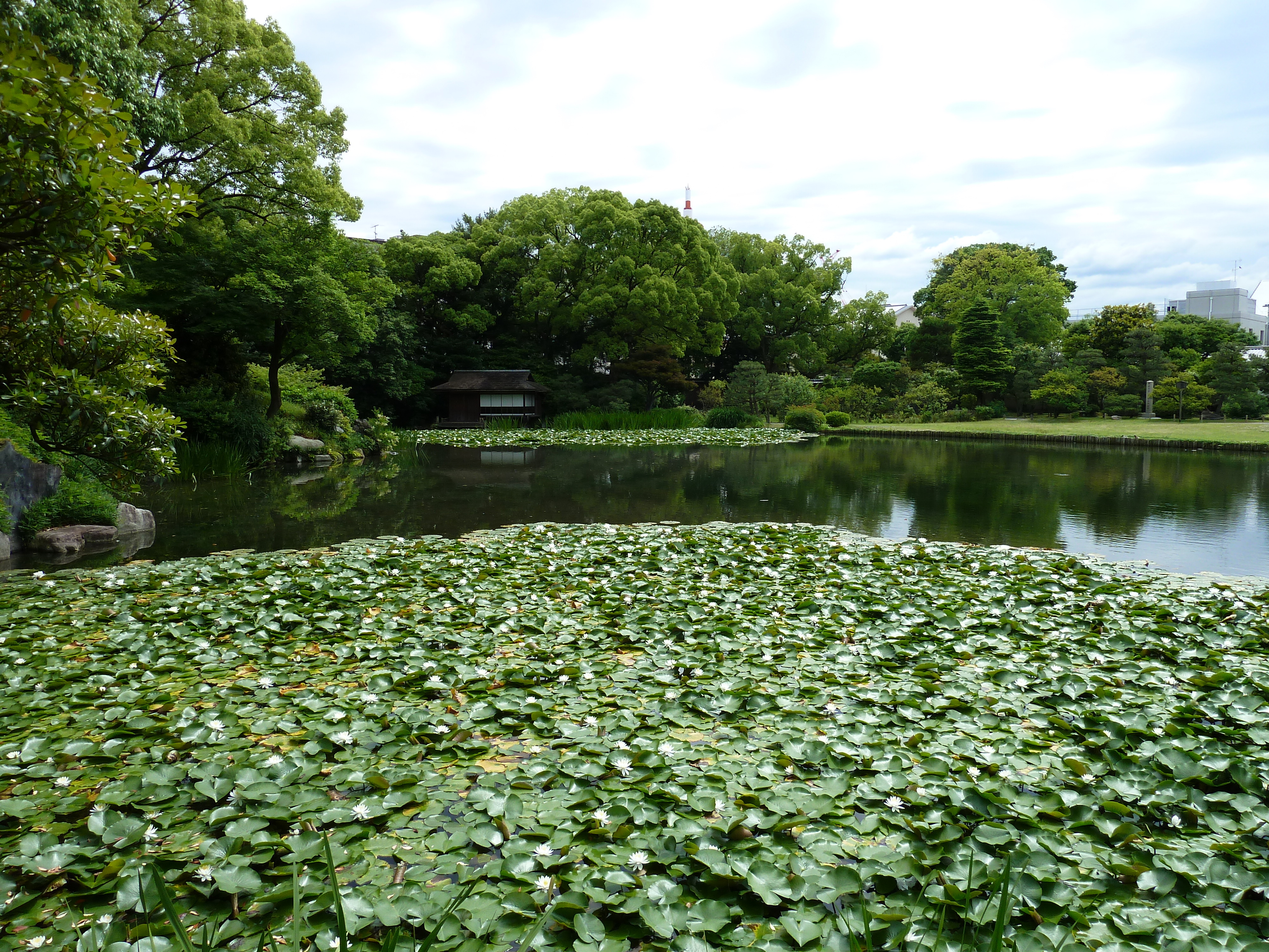 Picture Japan Kyoto Shosei en Garden 2010-06 71 - Discovery Shosei en Garden