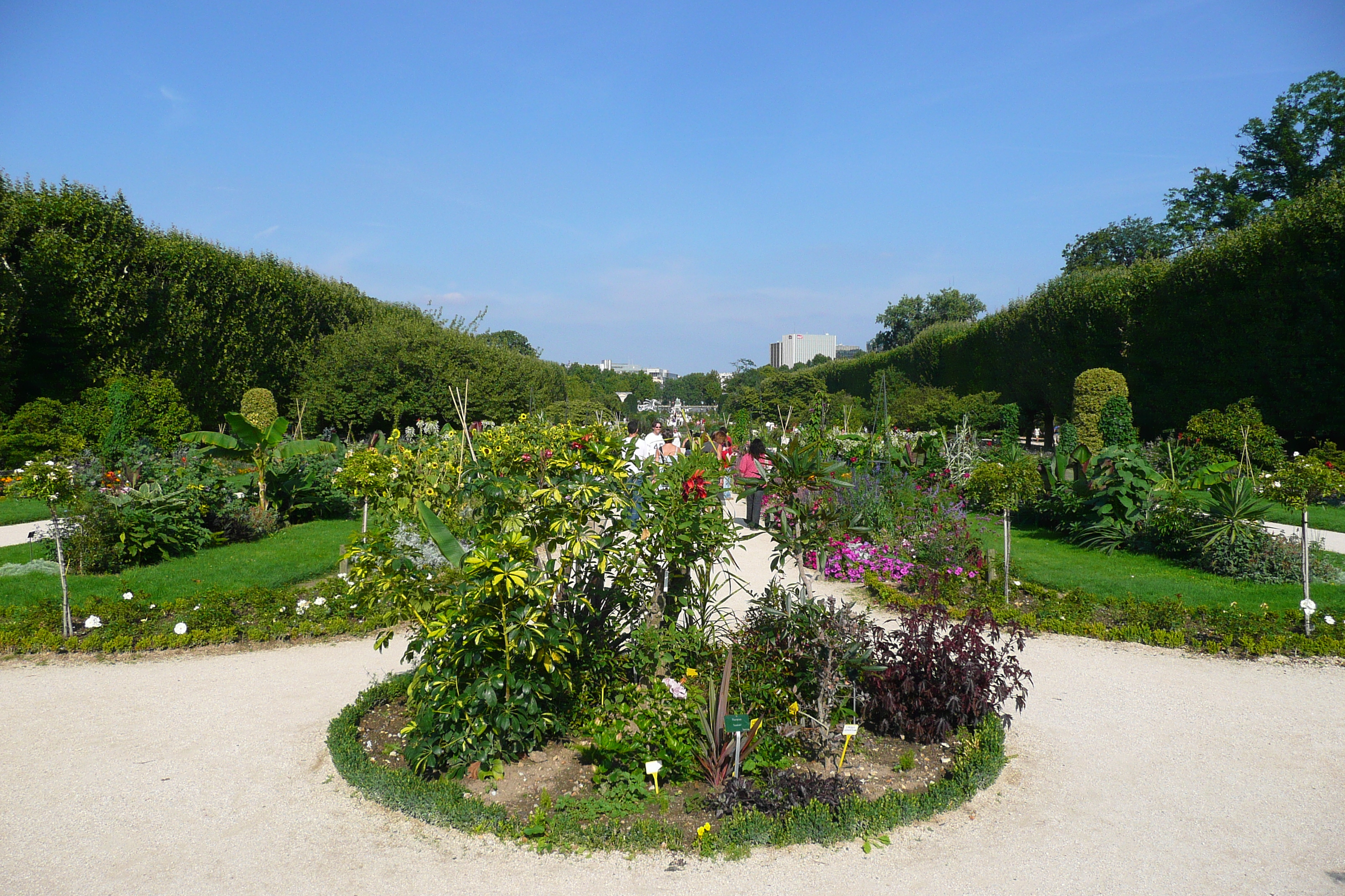 Picture France Paris Jardin des Plantes 2007-08 36 - Discovery Jardin des Plantes