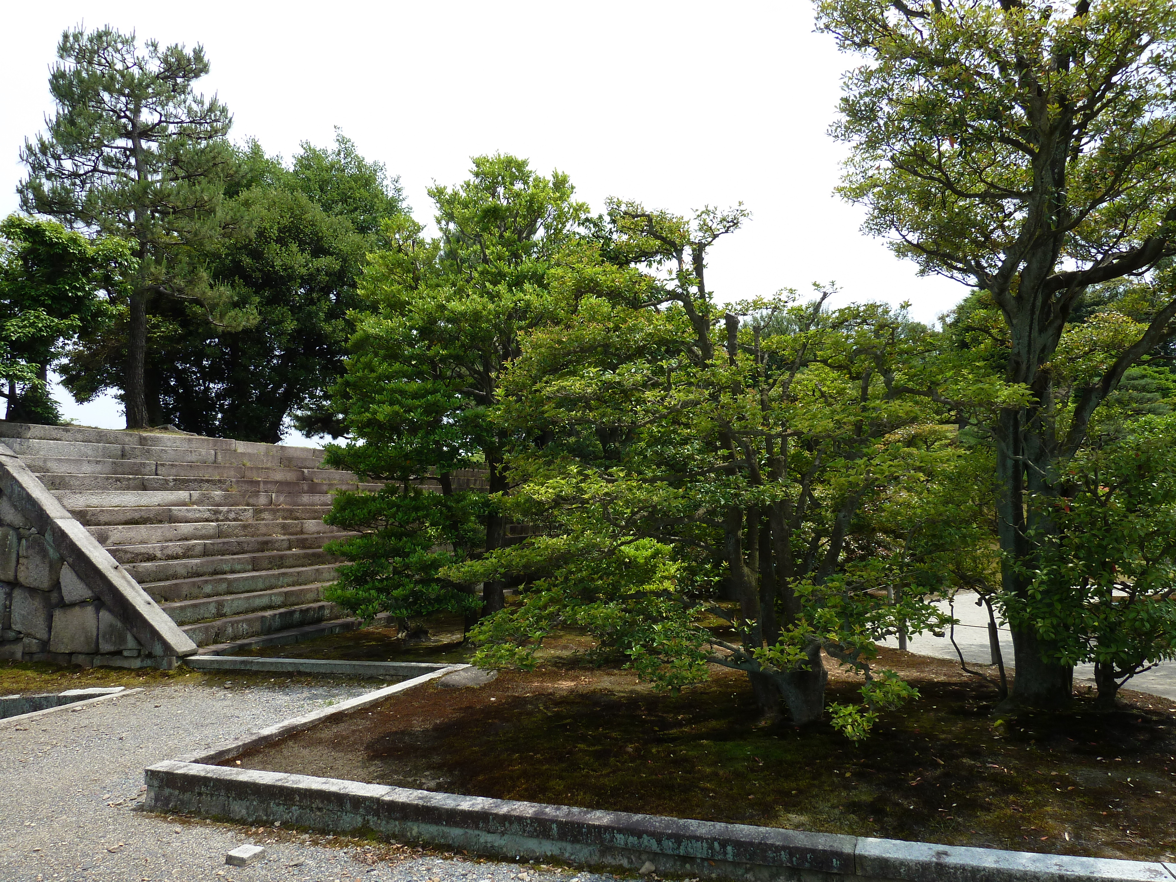 Picture Japan Kyoto Nijo Castle Honmaru Palace 2010-06 38 - Around Honmaru Palace