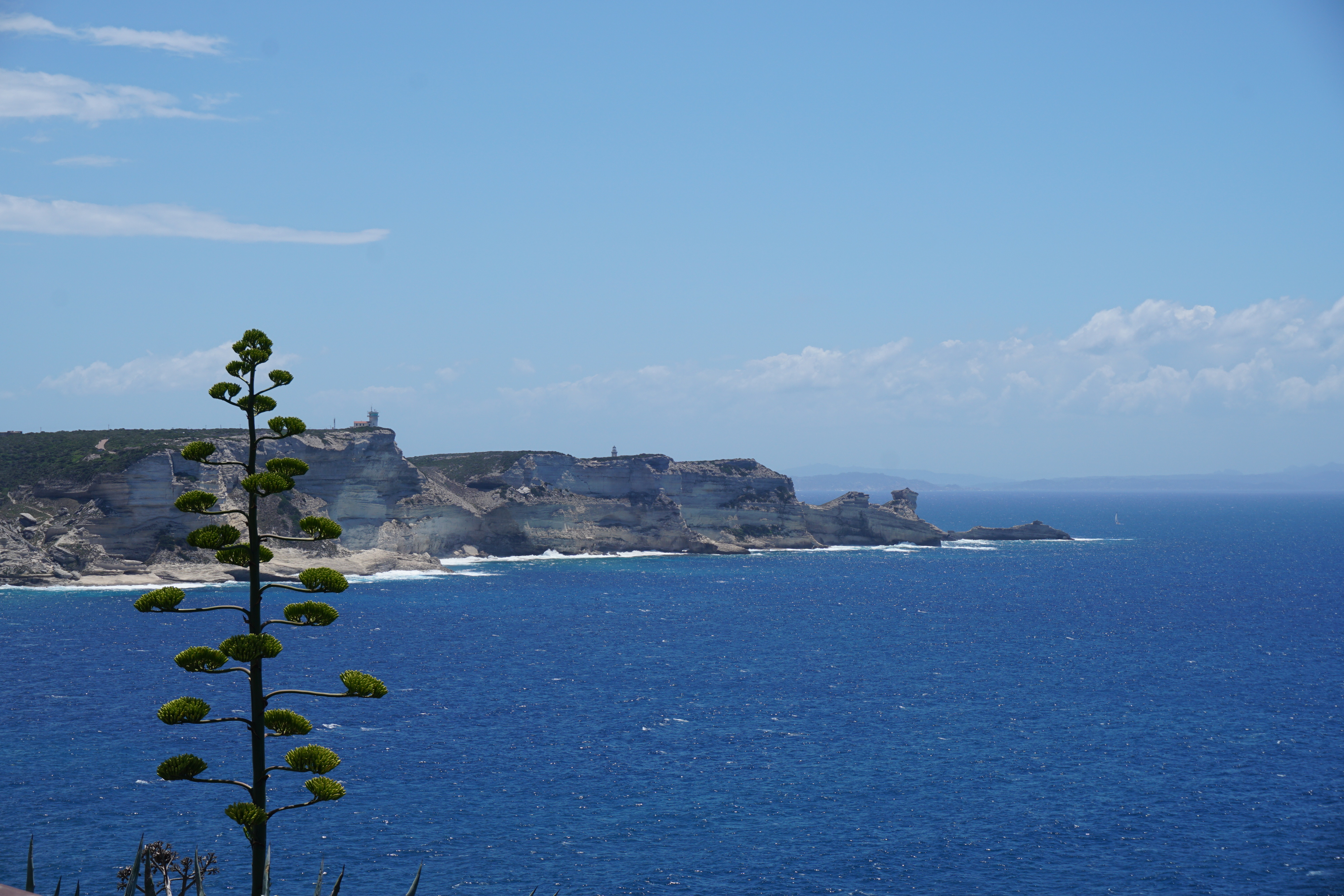 Picture France Corsica Bonifacio 2017-07 45 - Center Bonifacio