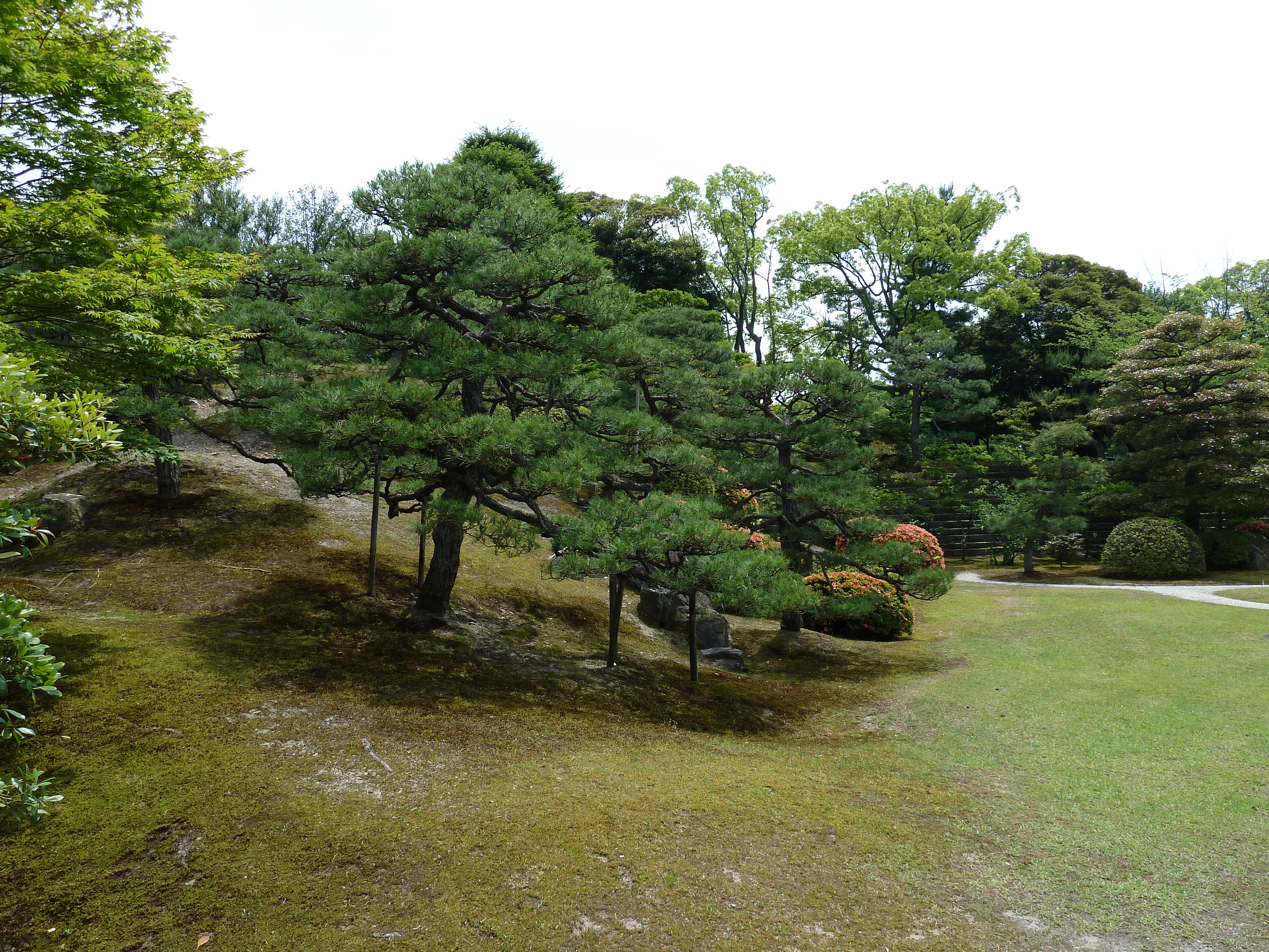 Picture Japan Kyoto Nijo Castle Honmaru Palace 2010-06 24 - Recreation Honmaru Palace