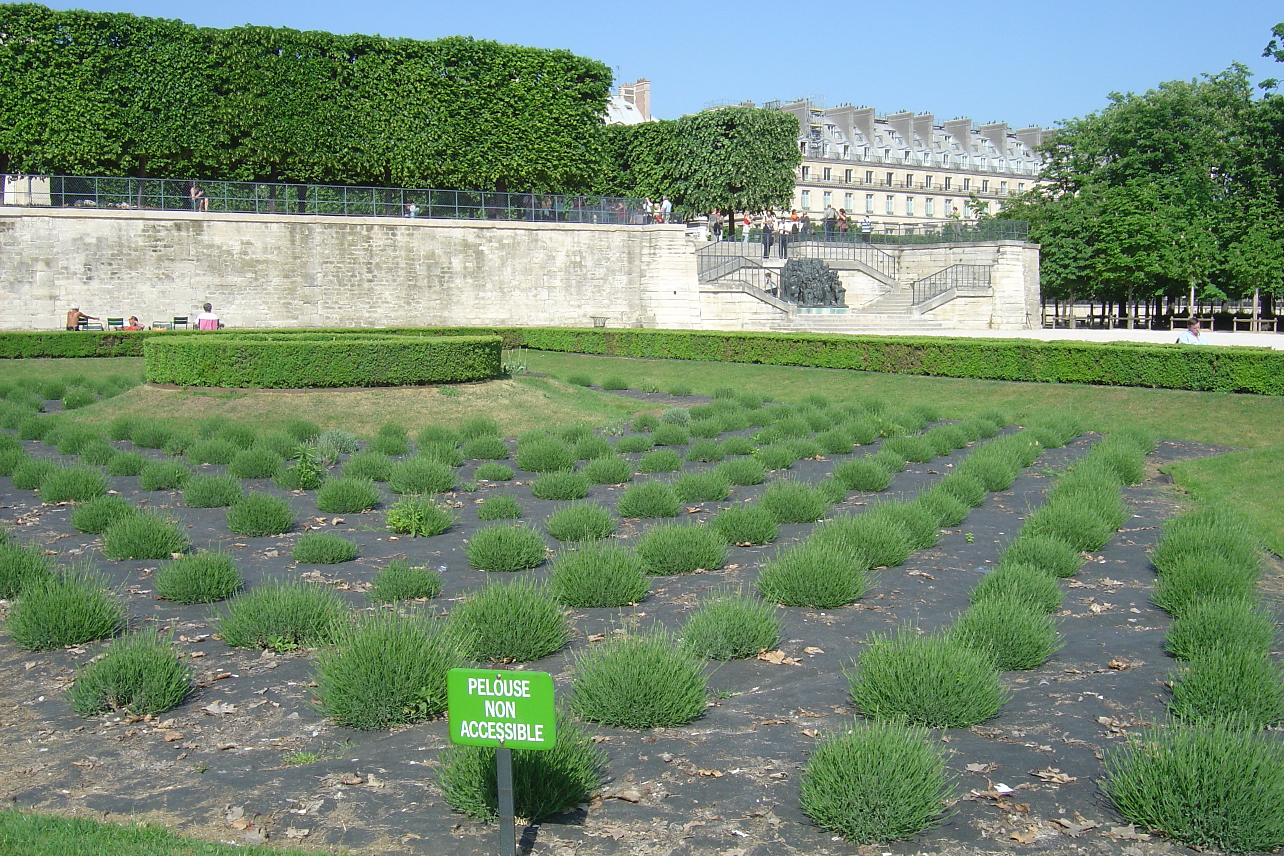 Picture France Paris Garden of Tuileries 2007-05 97 - Discovery Garden of Tuileries