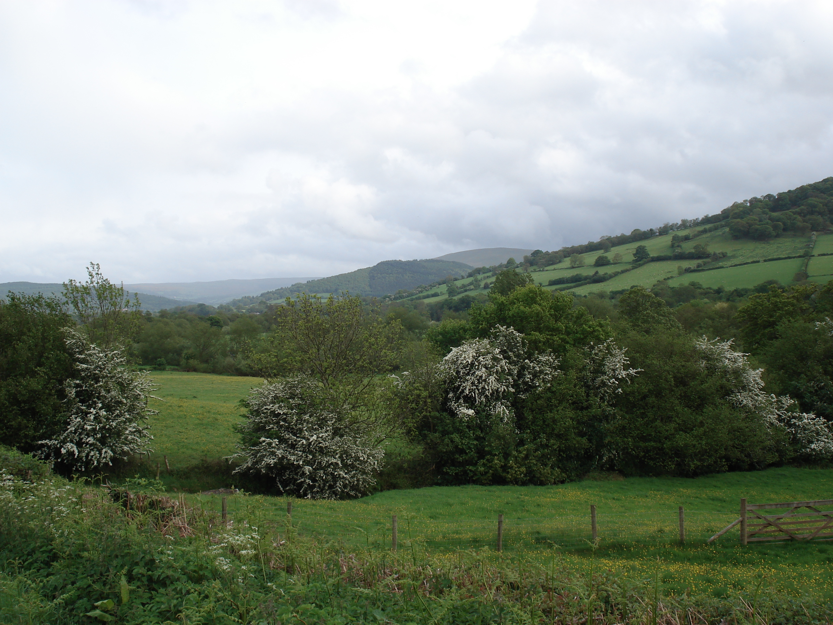 Picture United Kingdom Brecon Beacons National Parc 2006-05 122 - Tours Brecon Beacons National Parc