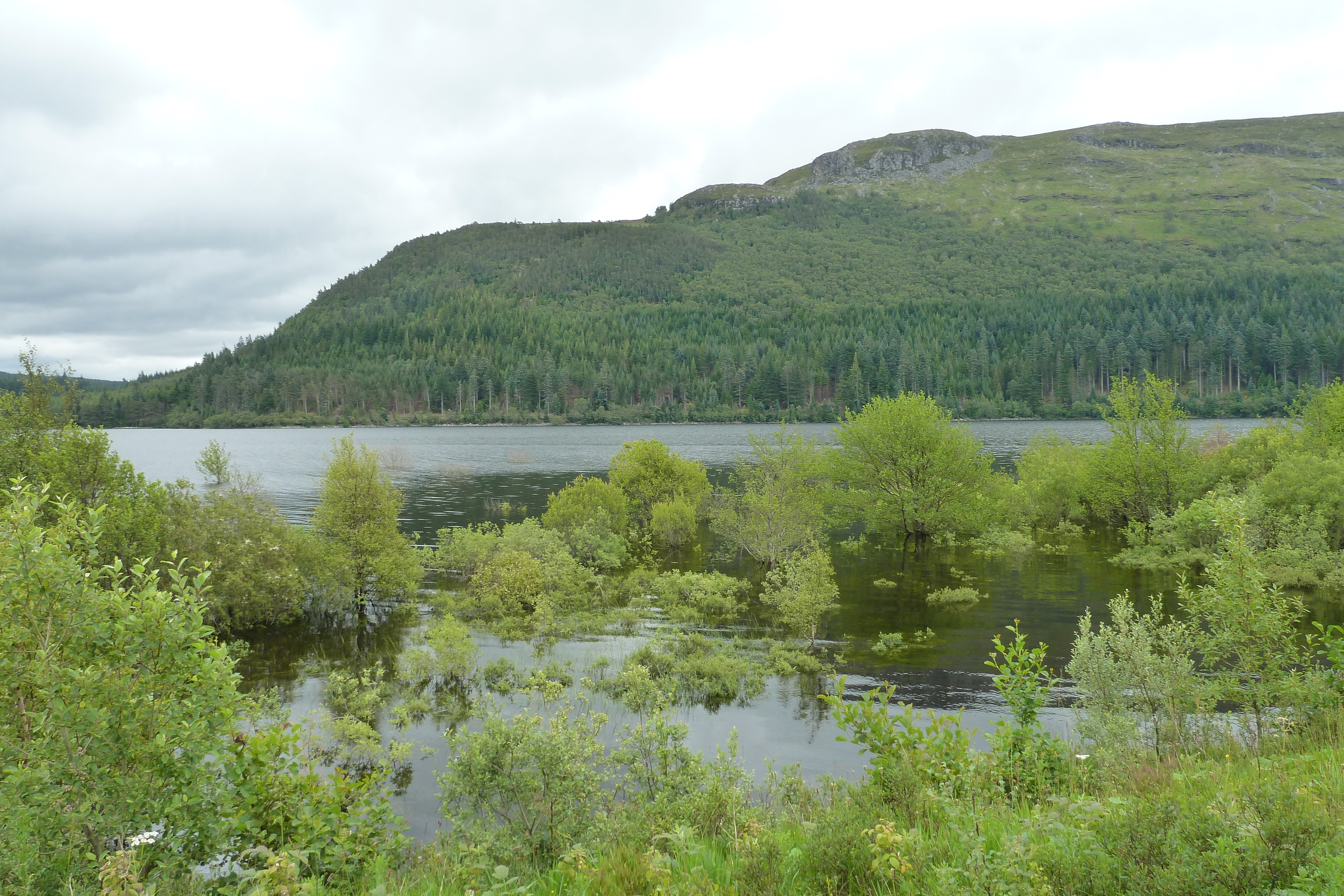 Picture United Kingdom Scotland Aviemore to Loch Laggan road 2011-07 0 - Around Aviemore to Loch Laggan road