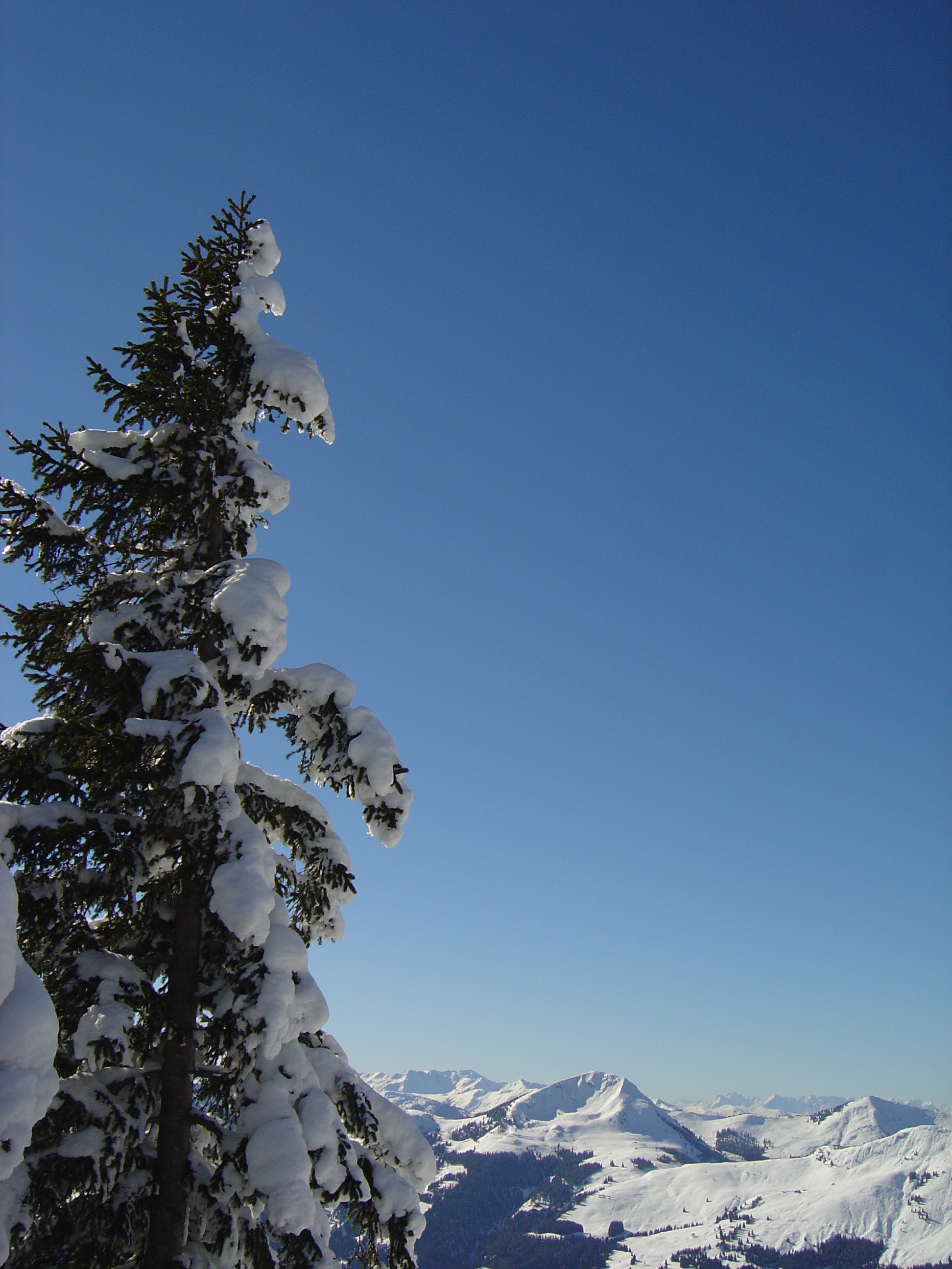 Picture Austria Kitzbuhel Ski 2005-03 111 - Recreation Ski