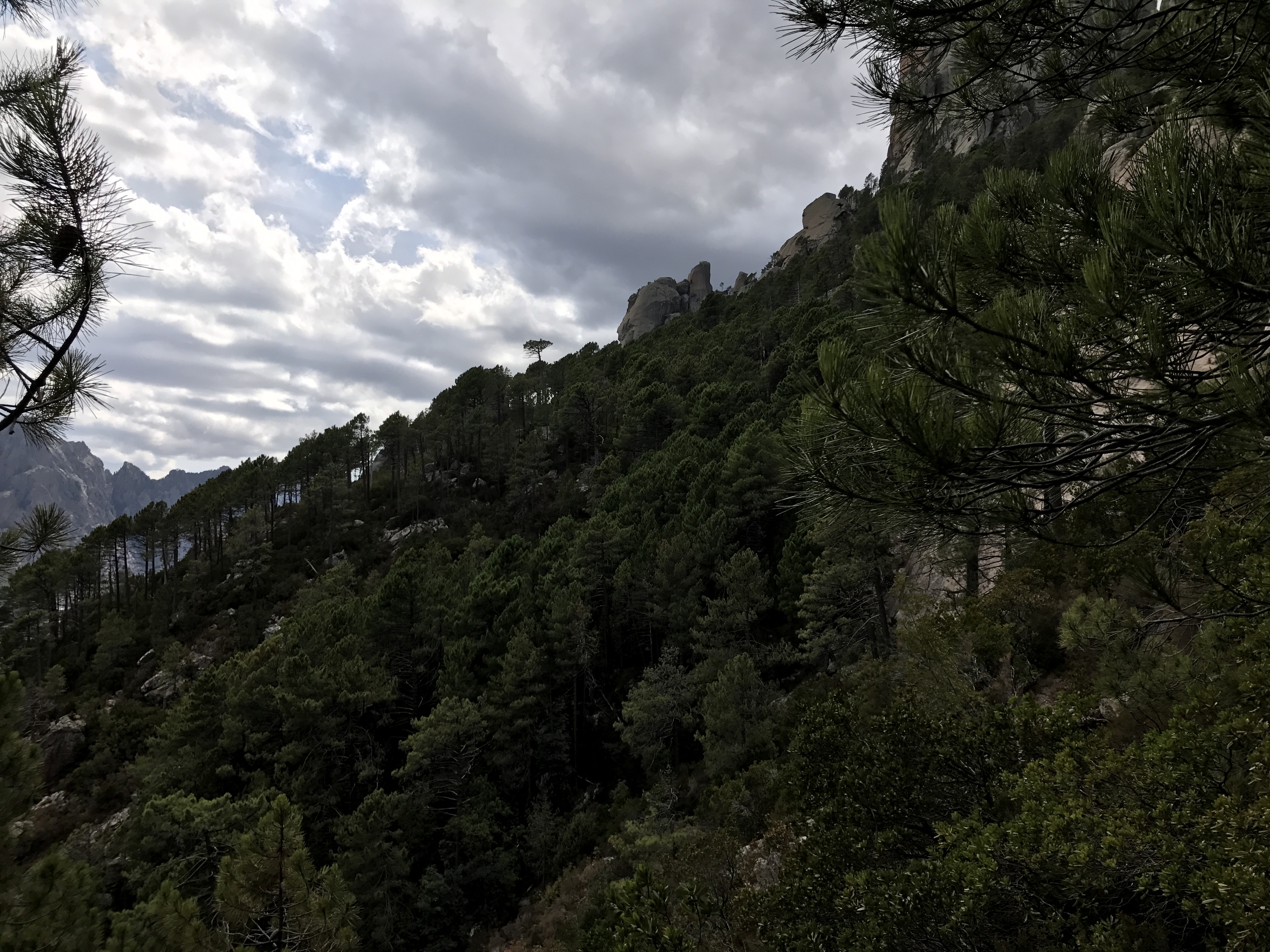 Picture France Corsica Cascades de Purcaraccia 2017-09 73 - Discovery Cascades de Purcaraccia