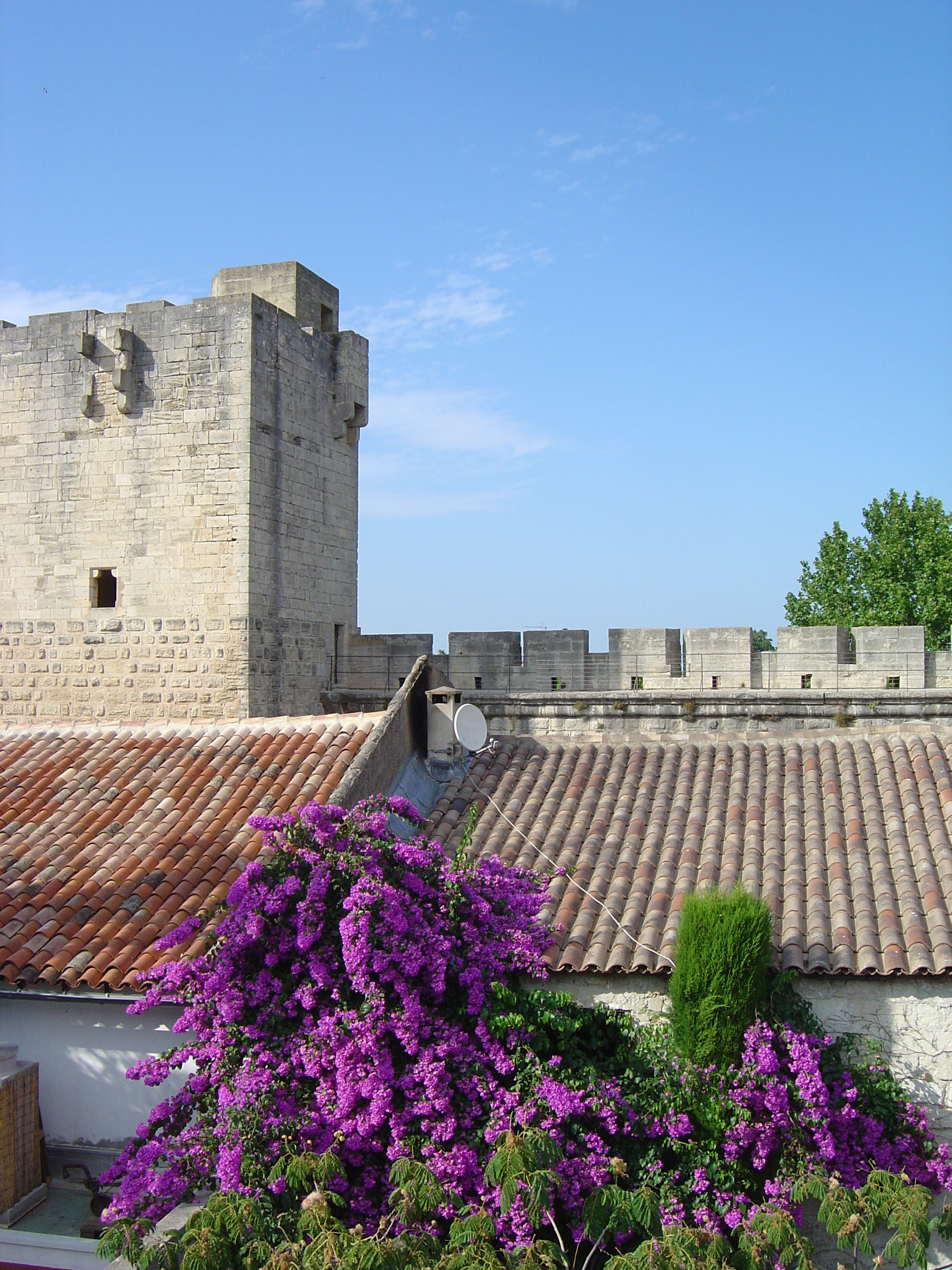 Picture France Aigues Mortes Les Templiers Hotel 2004-08 13 - Around Les Templiers Hotel