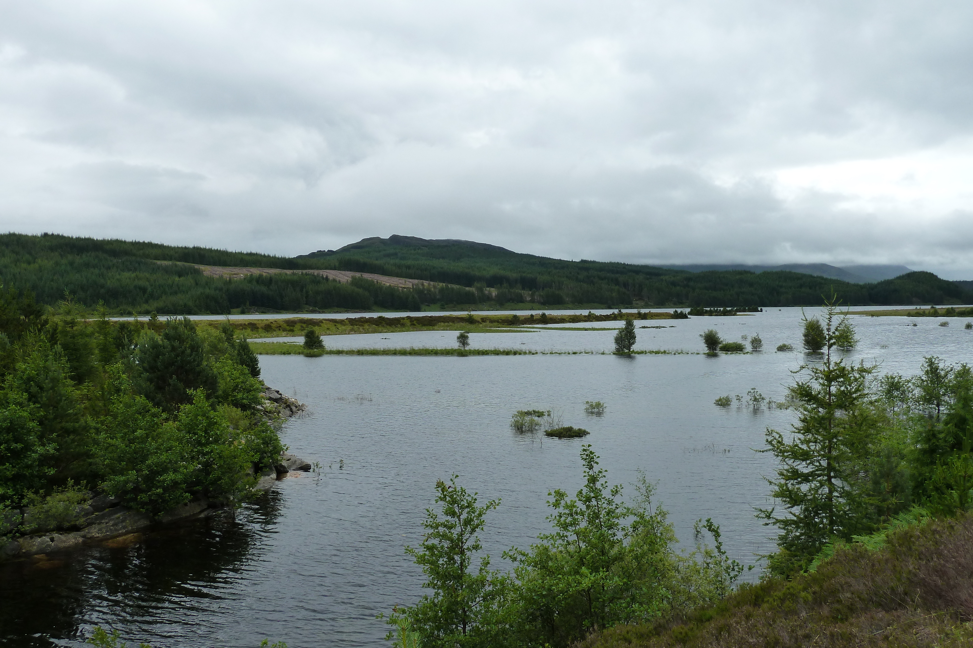 Picture United Kingdom Scotland Aviemore to Loch Laggan road 2011-07 10 - Recreation Aviemore to Loch Laggan road