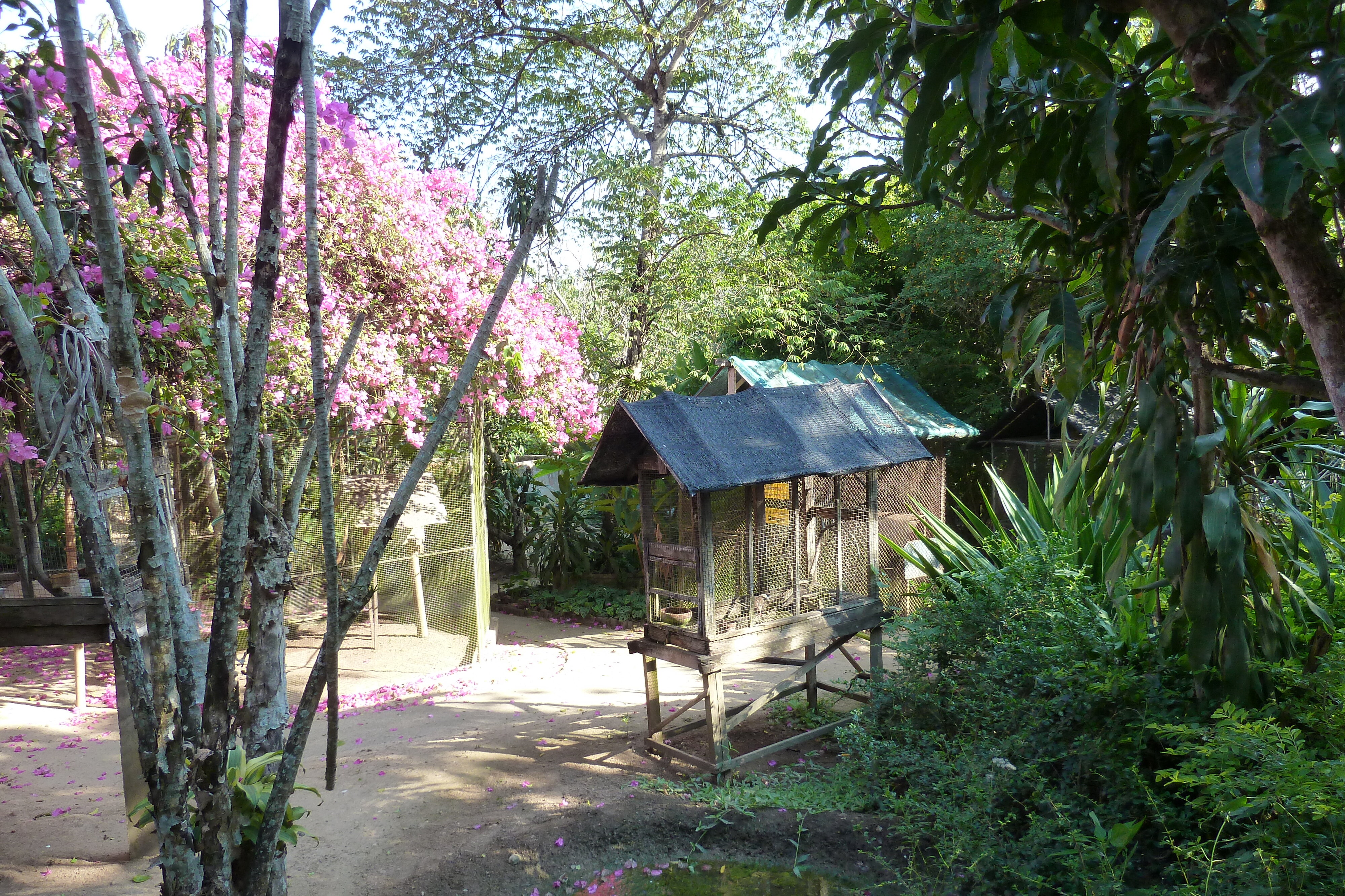 Picture Thailand Chiang Mai Mae Sa Snake Farm 2010-12 80 - Discovery Mae Sa Snake Farm