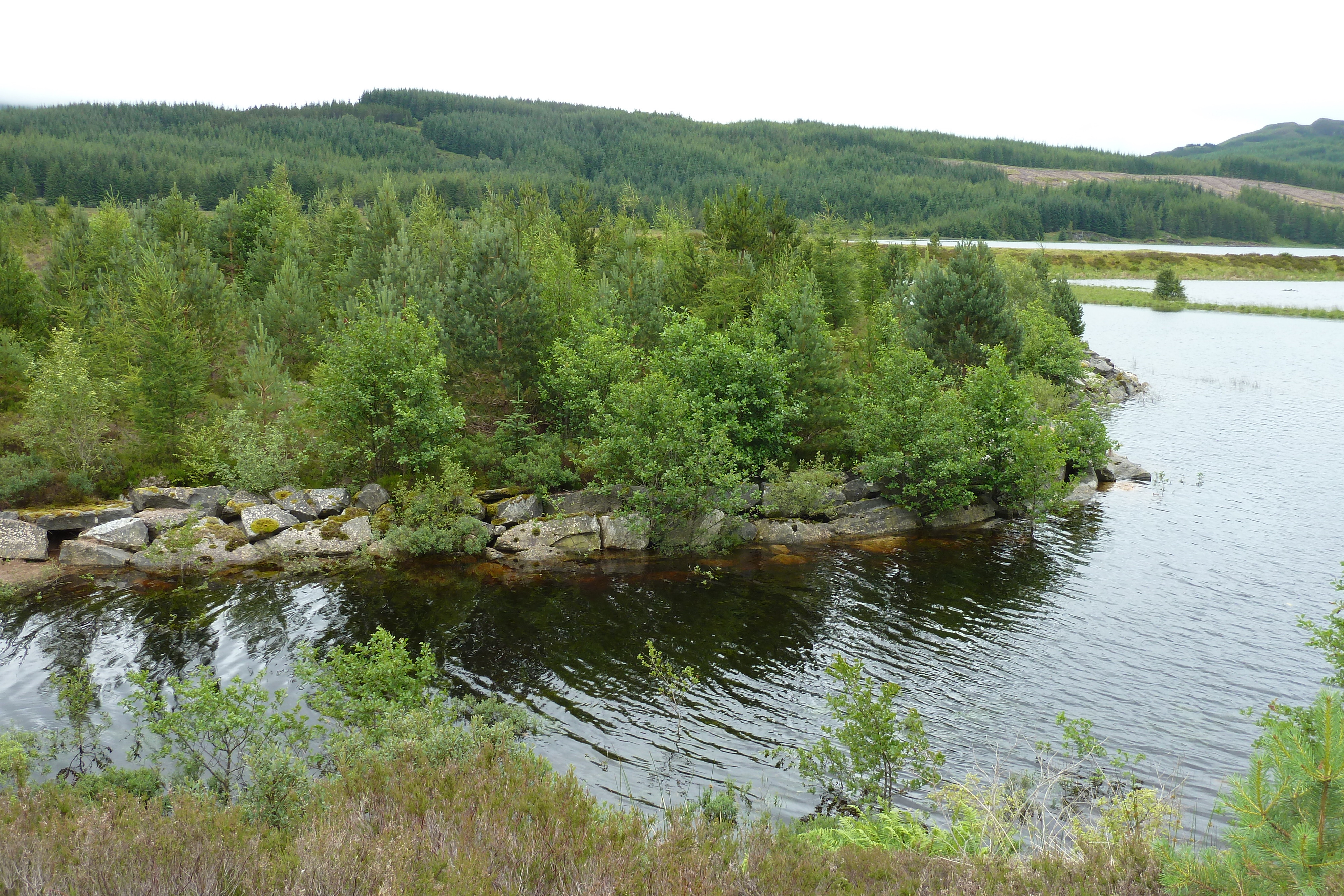 Picture United Kingdom Scotland Aviemore to Loch Laggan road 2011-07 20 - Around Aviemore to Loch Laggan road