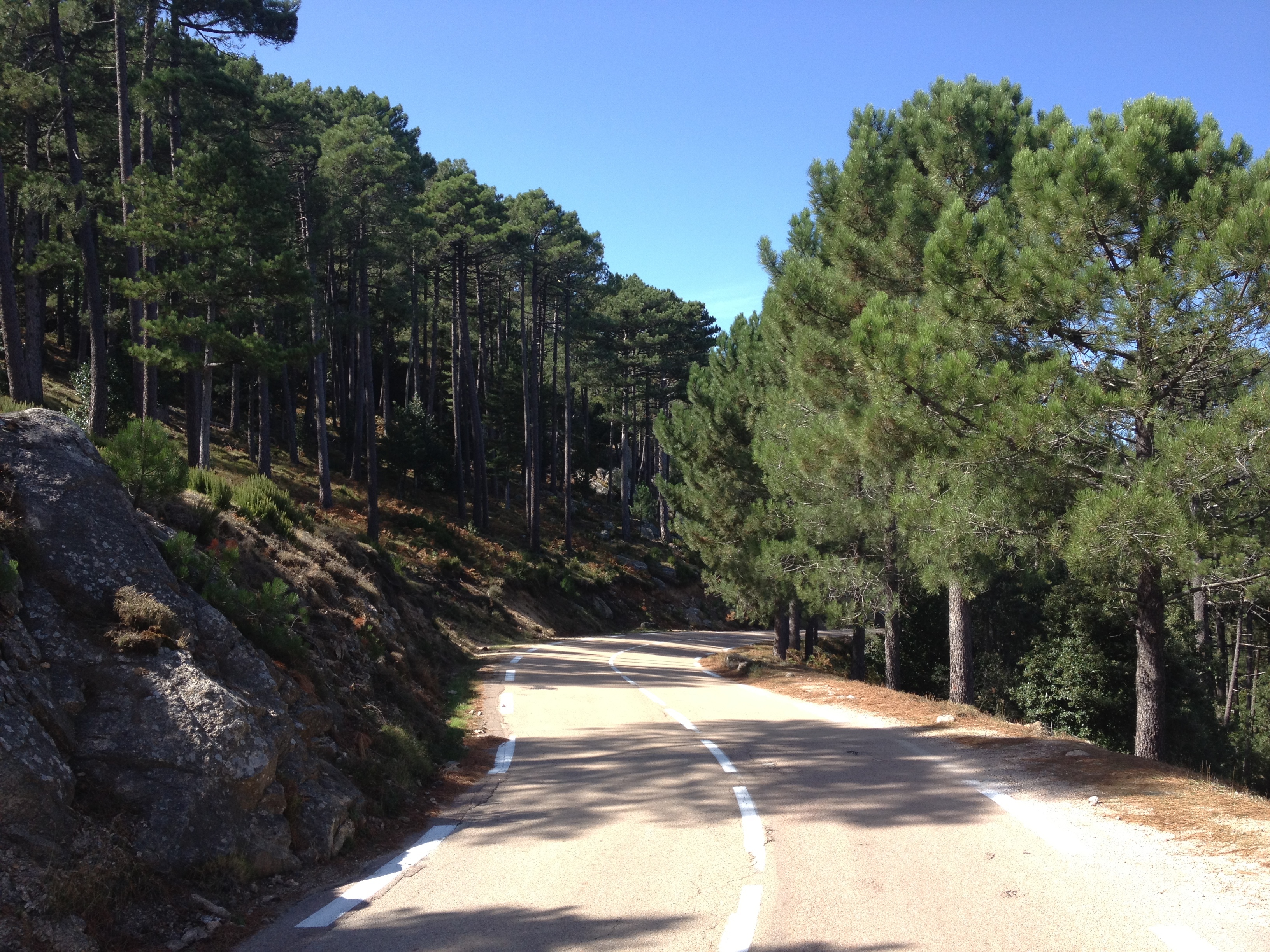 Picture France Corsica L'ospedale Forest 2012-09 10 - Discovery L'ospedale Forest