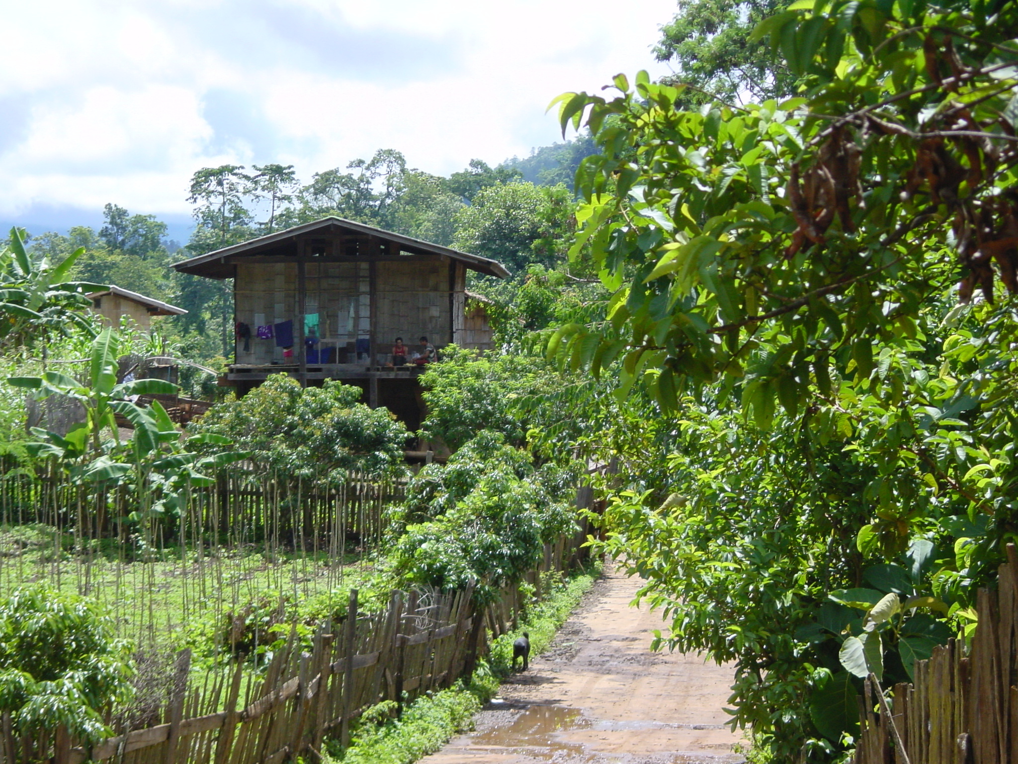 Picture Thailand Mae Hong Son 2003-07 75 - Tours Mae Hong Son