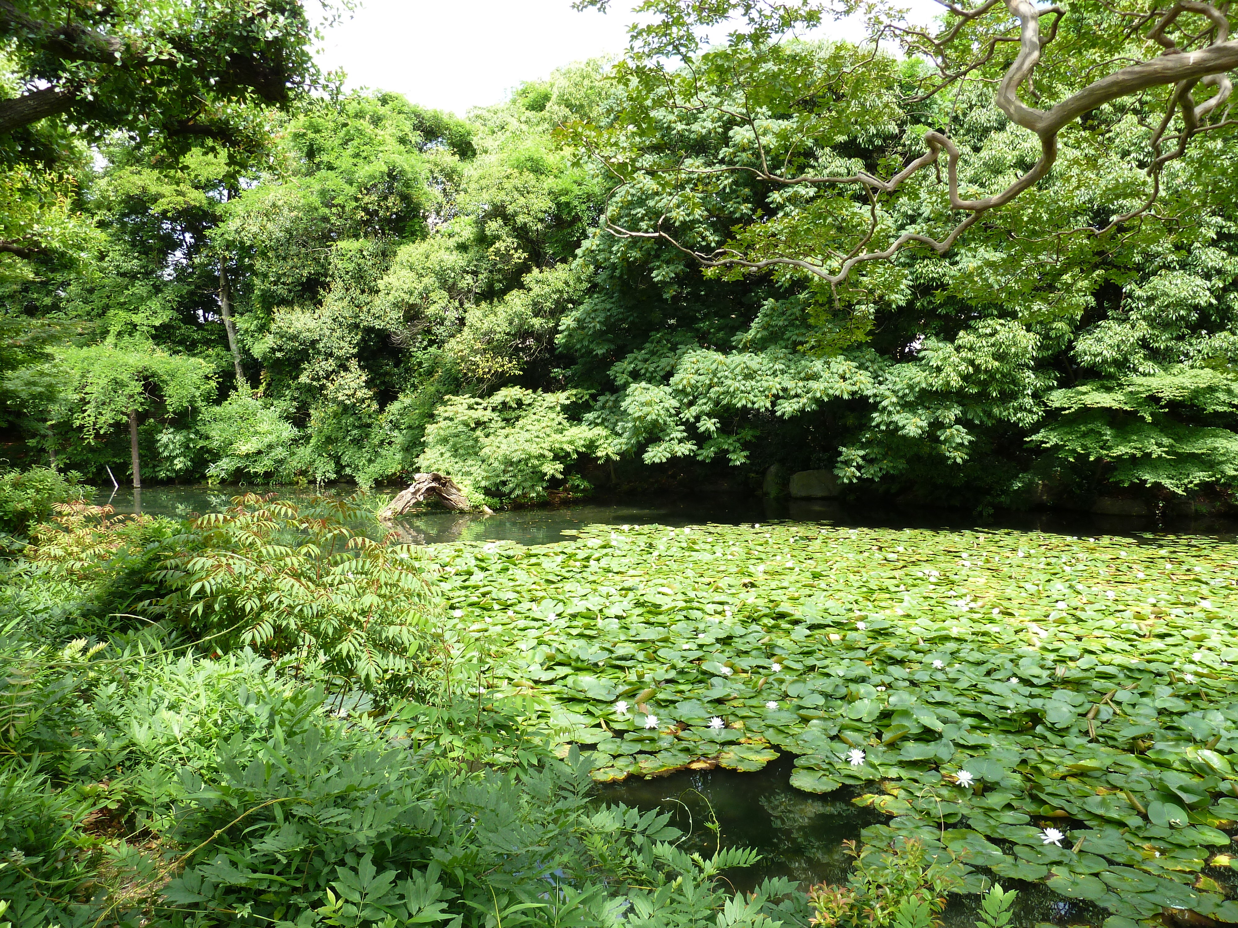 Picture Japan Kyoto Shosei en Garden 2010-06 46 - Tour Shosei en Garden