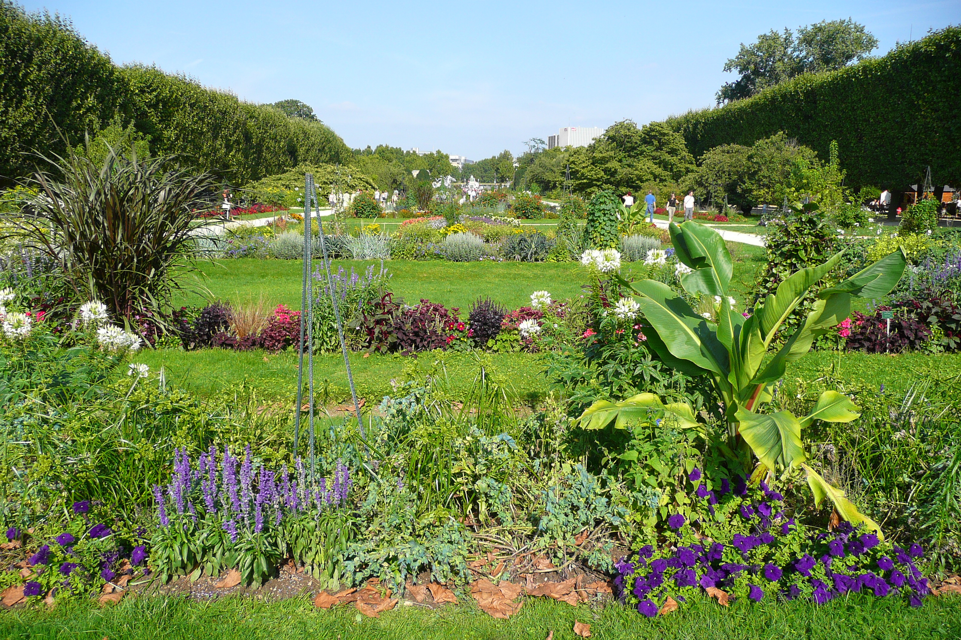 Picture France Paris Jardin des Plantes 2007-08 227 - Center Jardin des Plantes