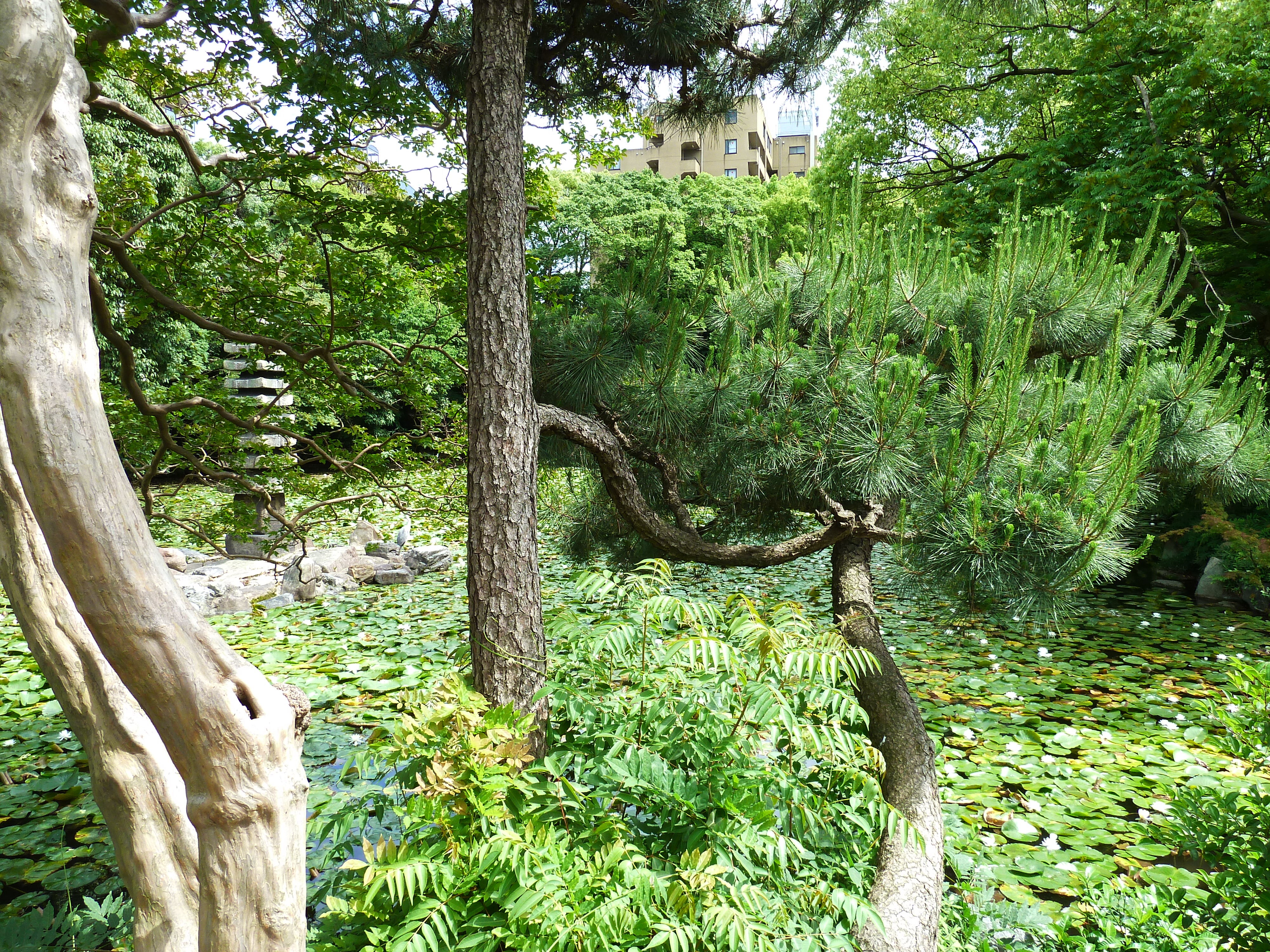 Picture Japan Kyoto Shosei en Garden 2010-06 45 - Journey Shosei en Garden