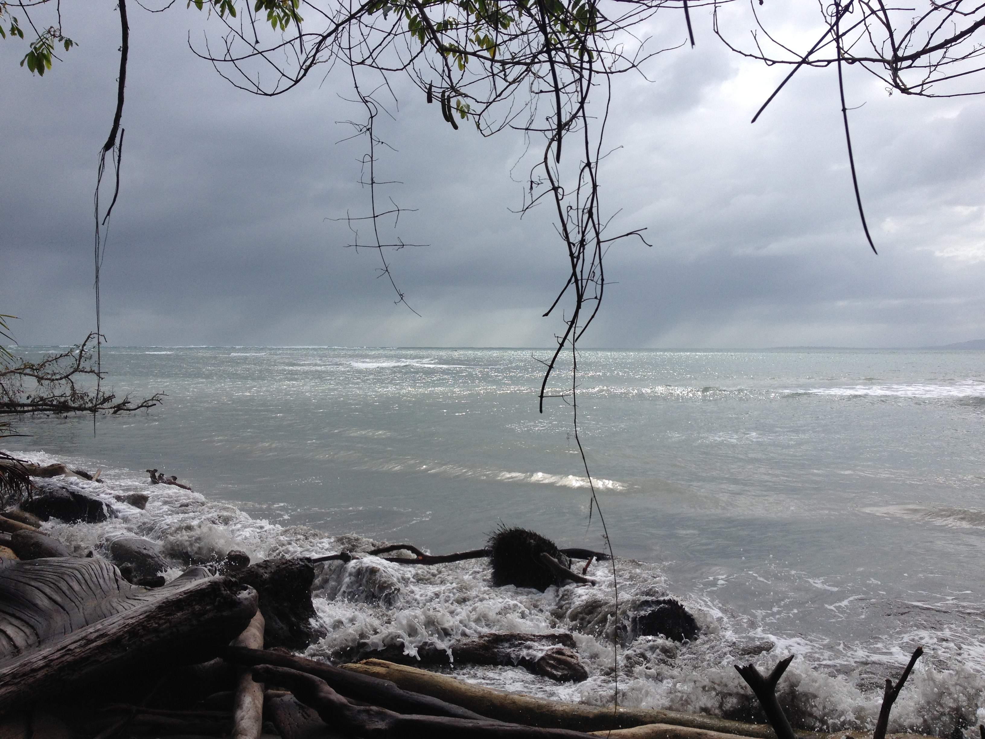 Picture Costa Rica Cahuita 2015-03 84 - Tour Cahuita