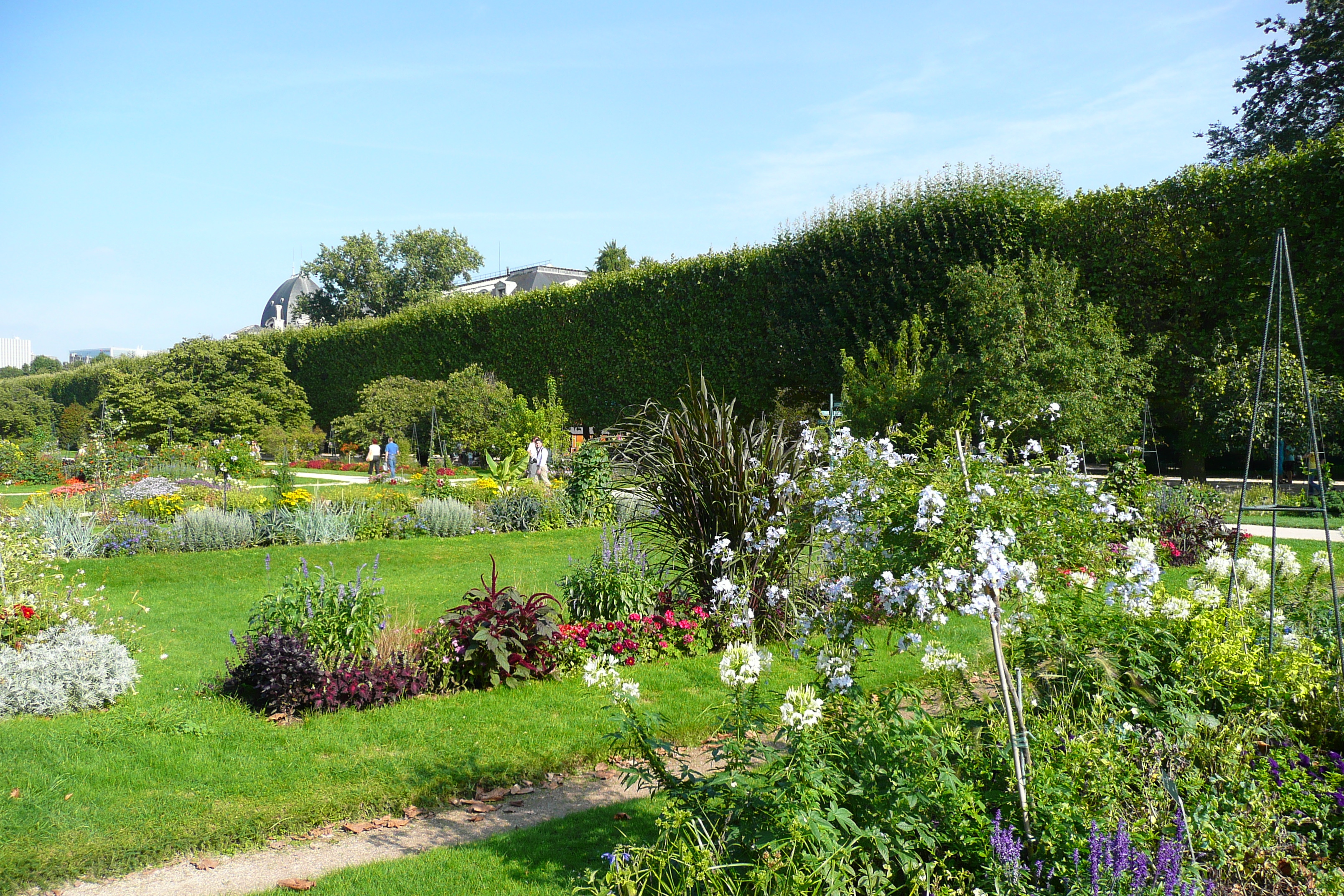 Picture France Paris Jardin des Plantes 2007-08 211 - History Jardin des Plantes