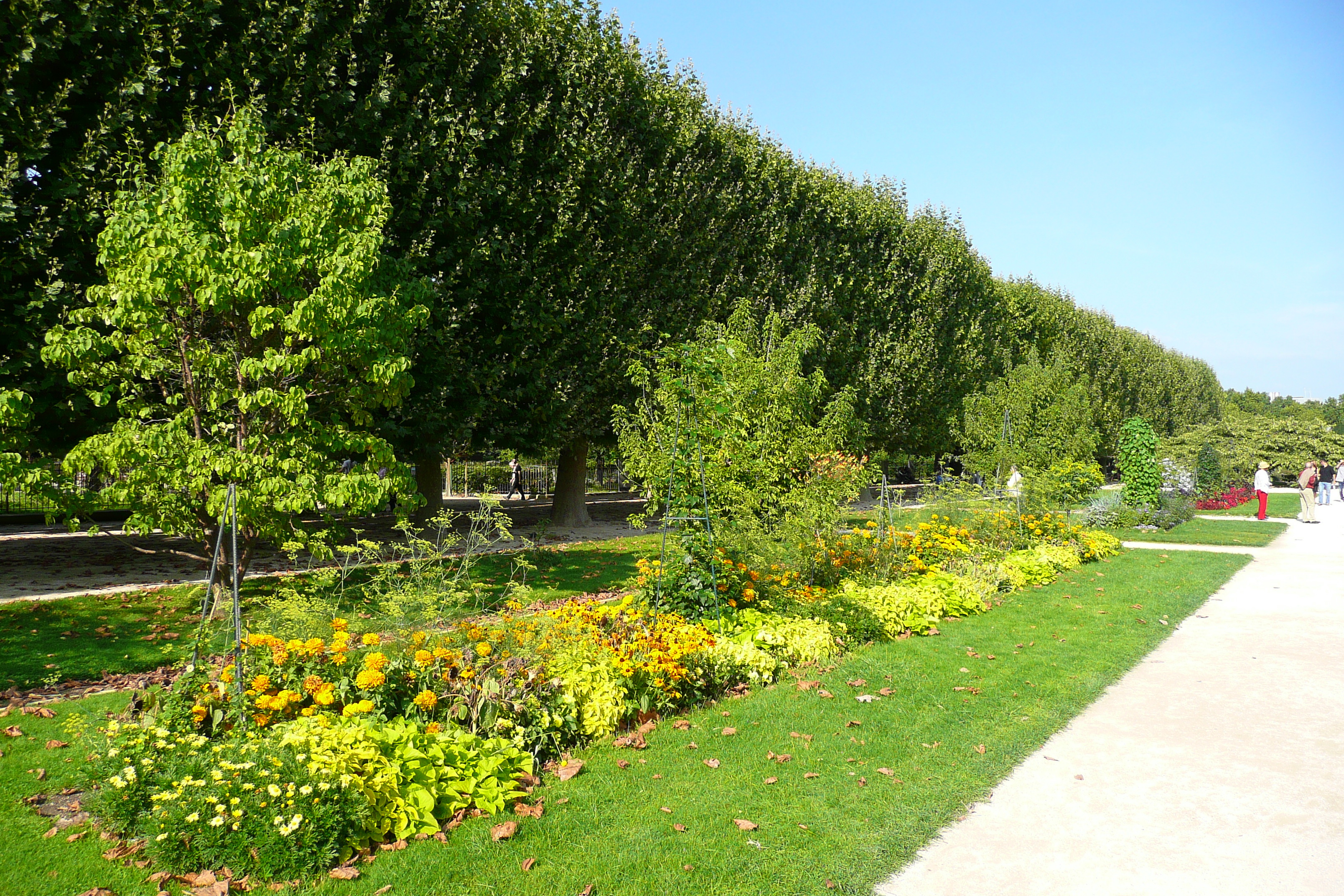 Picture France Paris Jardin des Plantes 2007-08 208 - Discovery Jardin des Plantes