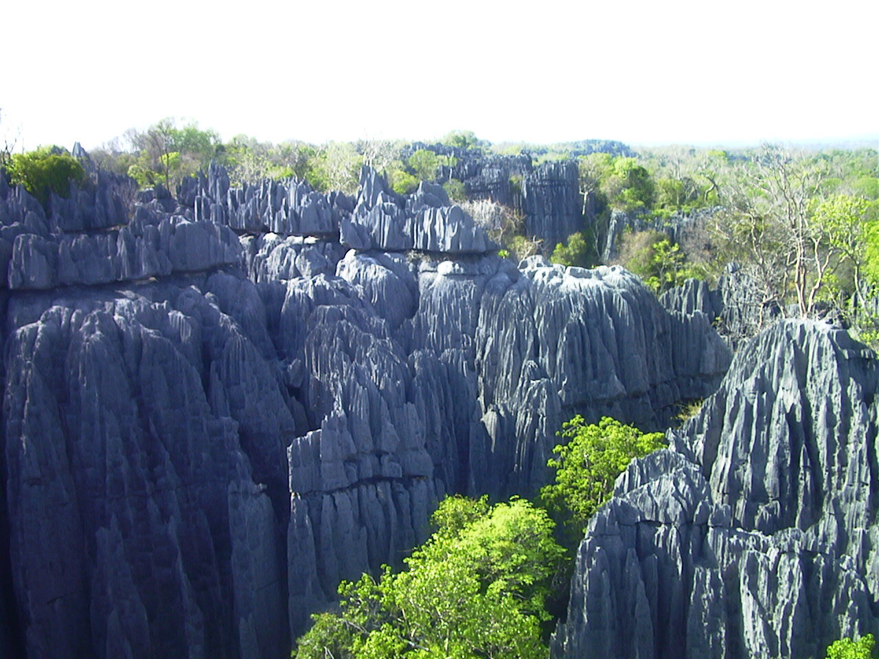 Picture Madagascar Tsingy 1999-10 5 - Discovery Tsingy