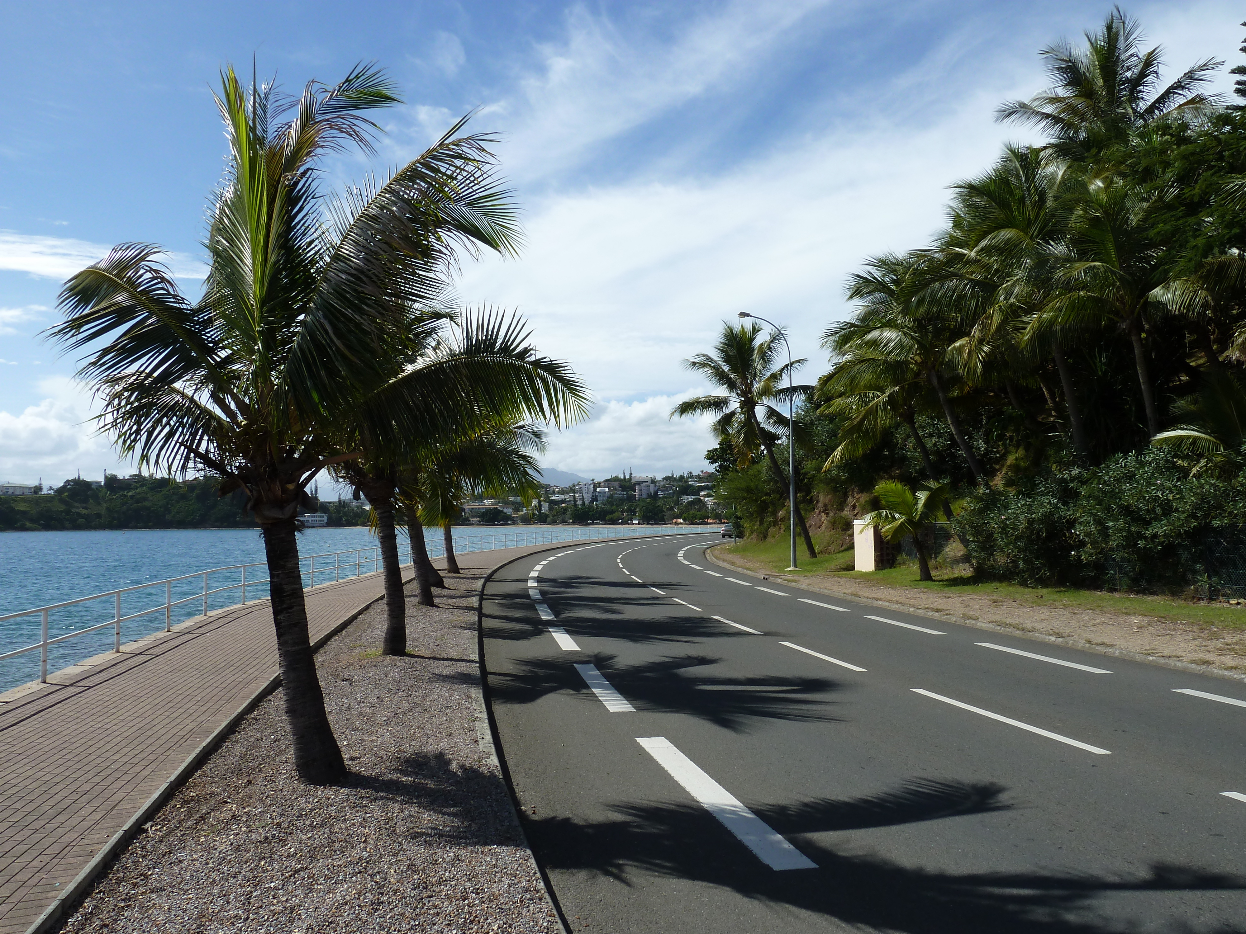 Picture New Caledonia 2010-05 95 - Tour New Caledonia