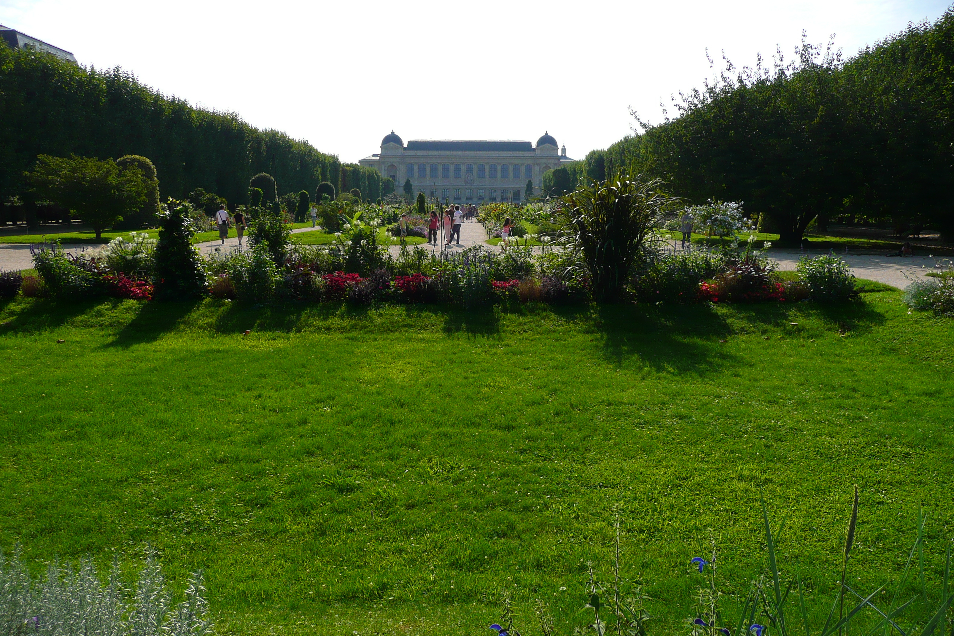 Picture France Paris Jardin des Plantes 2007-08 191 - Discovery Jardin des Plantes