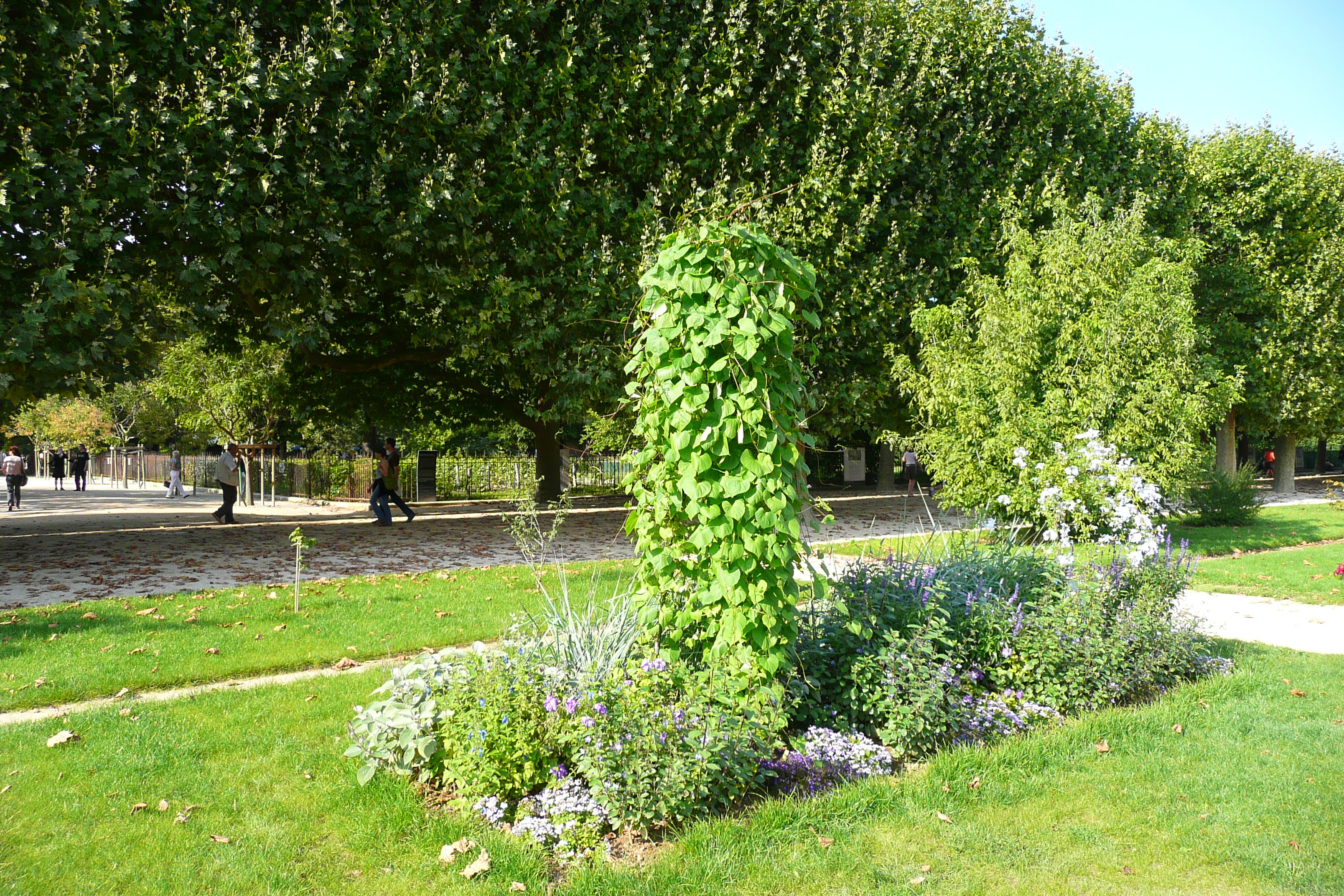 Picture France Paris Jardin des Plantes 2007-08 51 - Center Jardin des Plantes