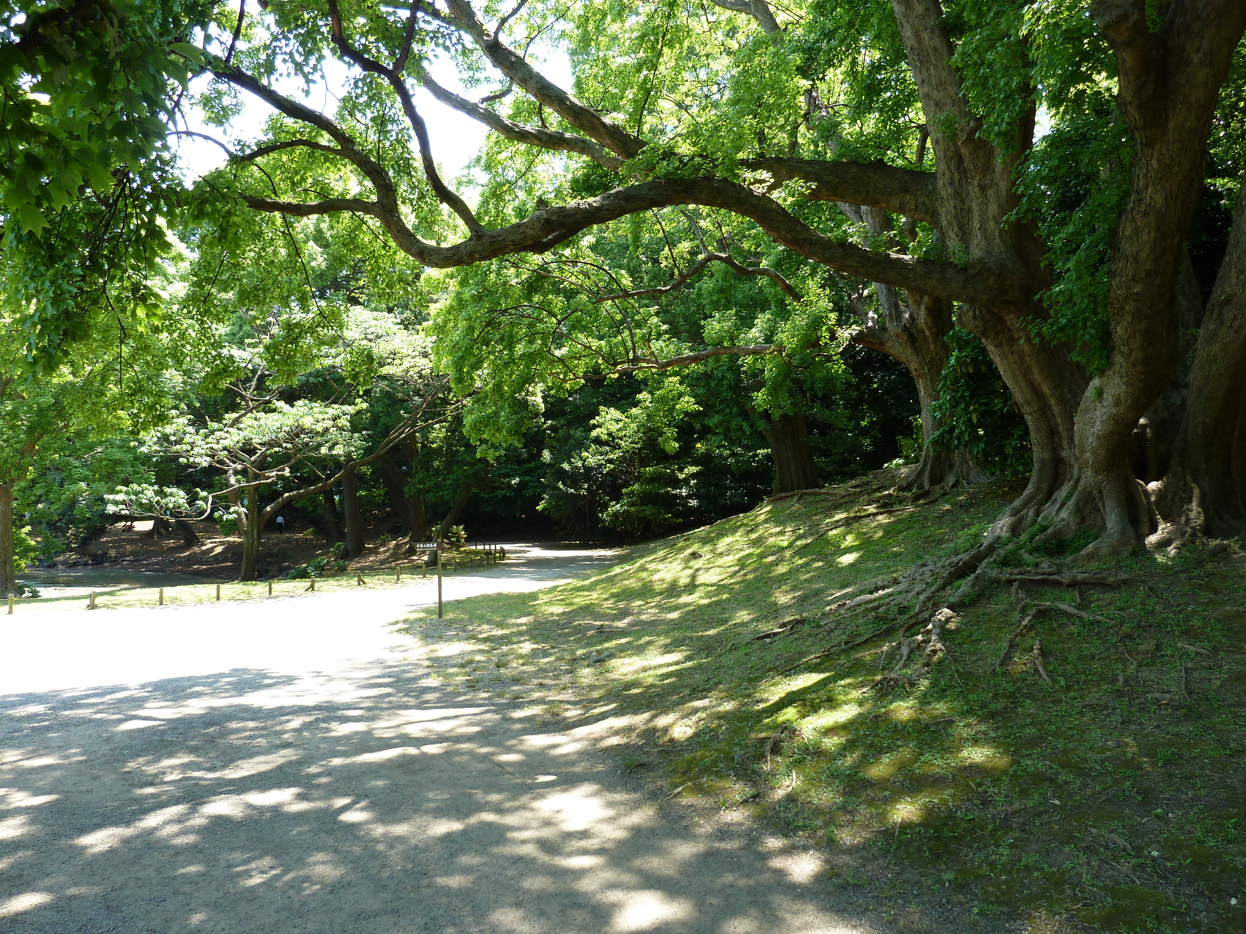 Picture Japan Tokyo Hama rikyu Gardens 2010-06 31 - Journey Hama rikyu Gardens