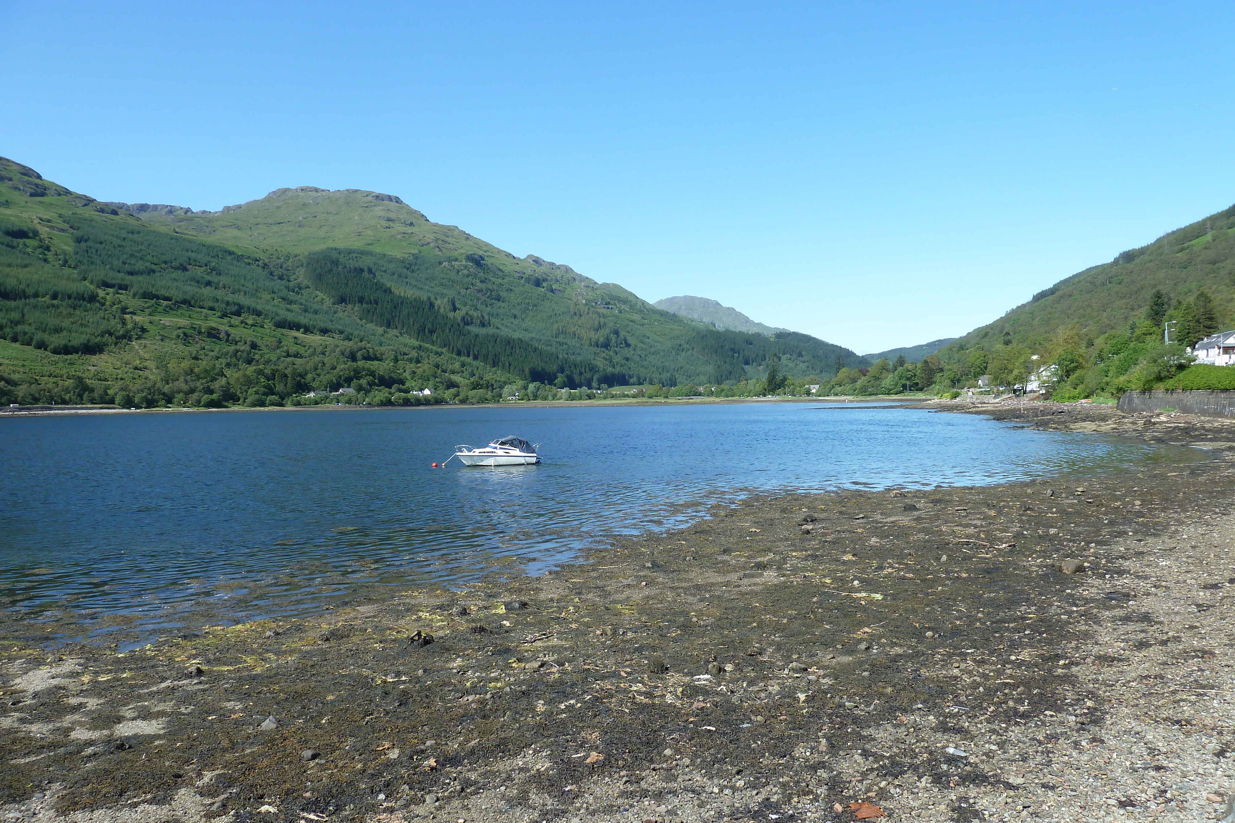 Picture United Kingdom Scotland Loch Linnhe 2011-07 40 - Center Loch Linnhe