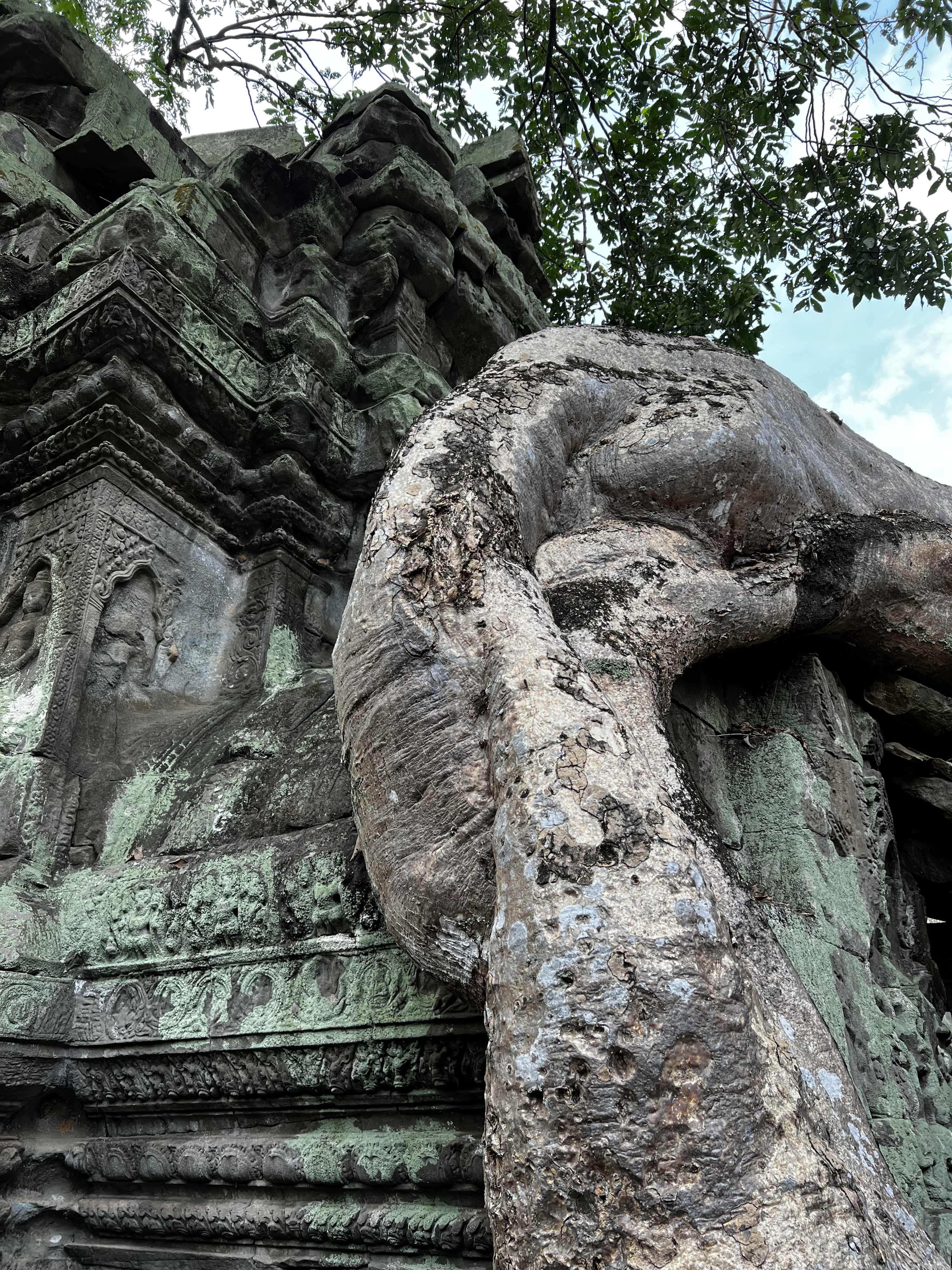 Picture Cambodia Siem Reap Ta Prohm 2023-01 19 - Around Ta Prohm