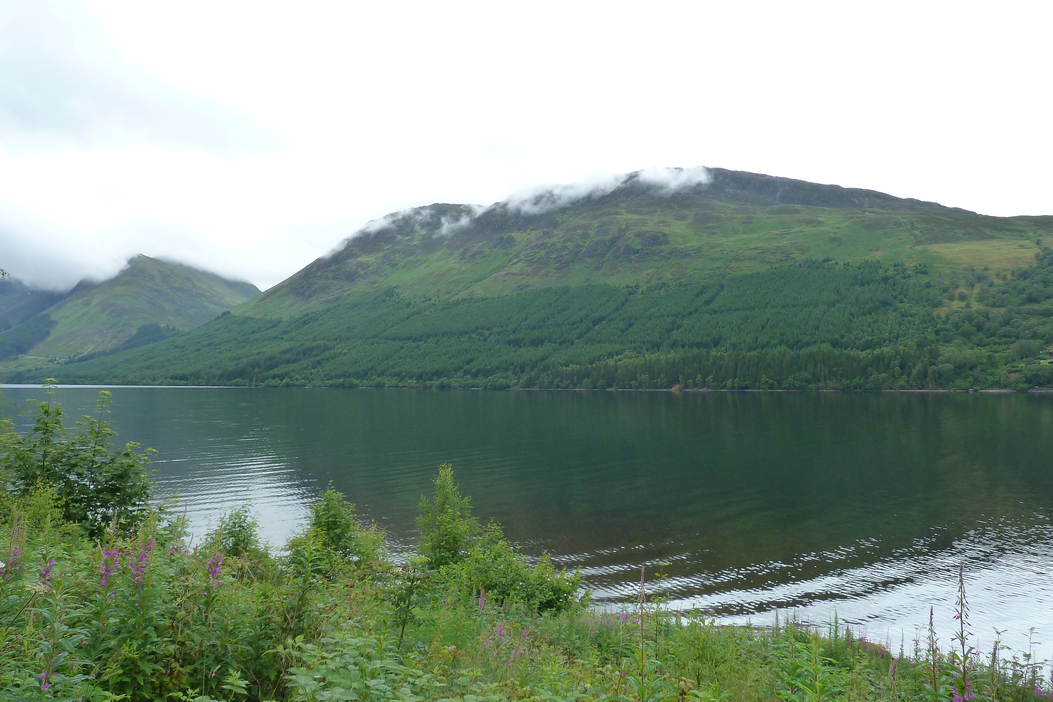 Picture United Kingdom Scotland Loch Laggan to Loch Ness road 2011-07 18 - Discovery Loch Laggan to Loch Ness road