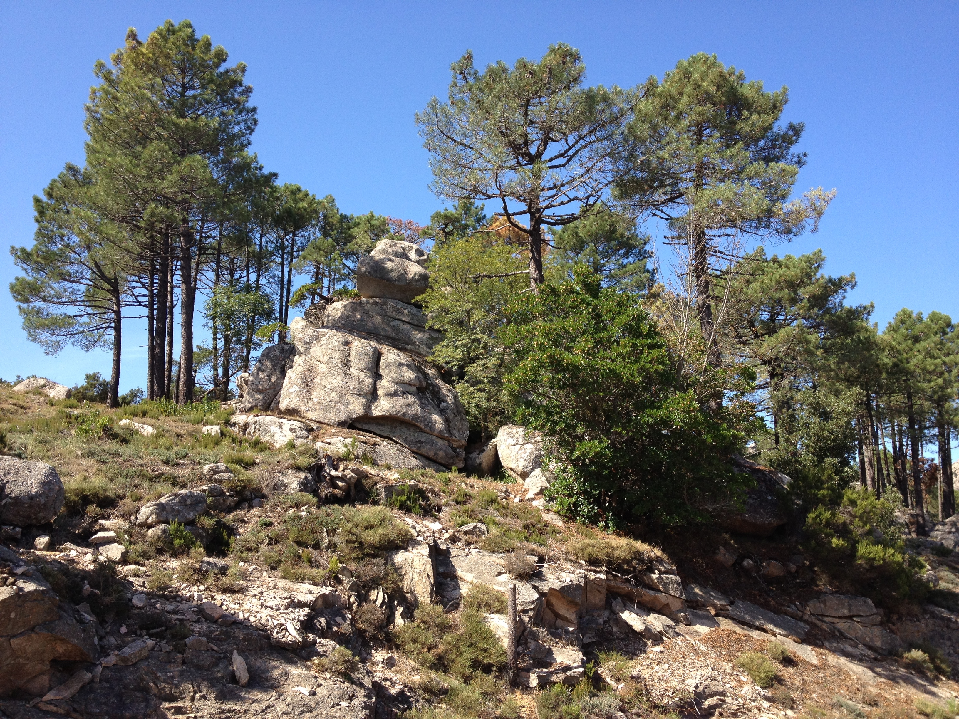 Picture France Corsica L'ospedale Forest 2012-09 11 - Center L'ospedale Forest