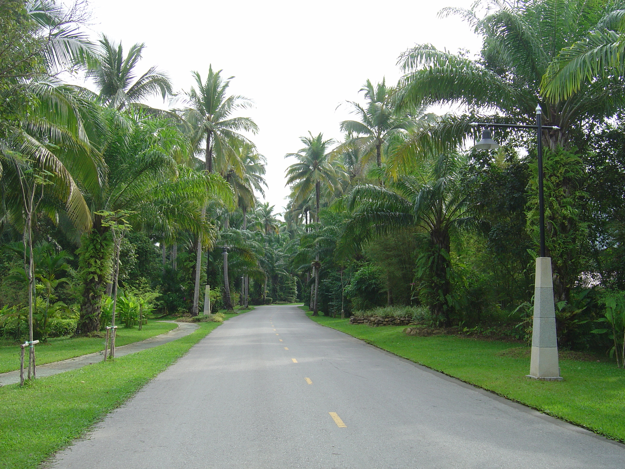 Picture Thailand Khao Lak Meridien Khao Lak Hotel 2005-12 235 - Tours Meridien Khao Lak Hotel