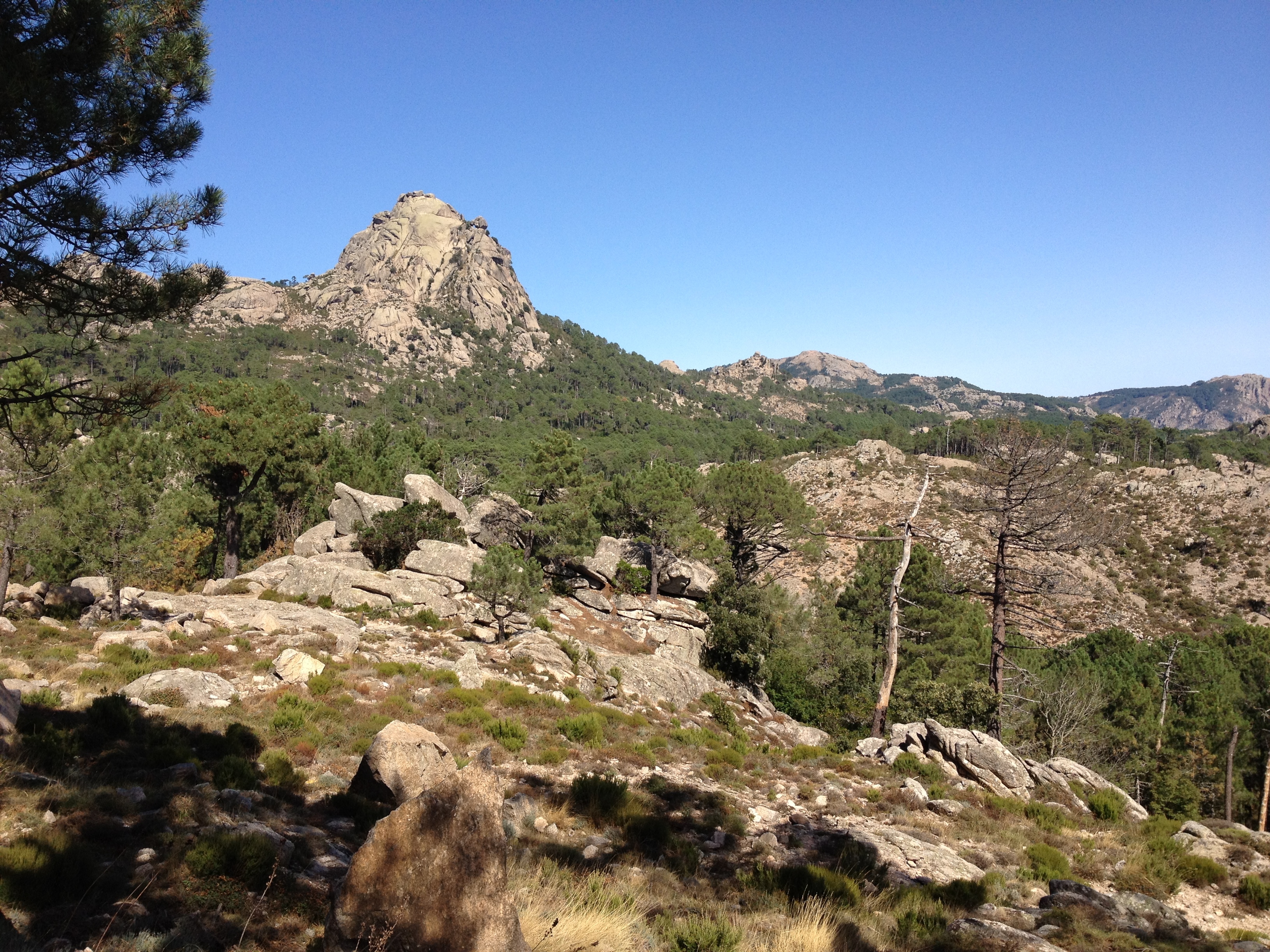 Picture France Corsica L'ospedale Forest 2012-09 17 - Recreation L'ospedale Forest