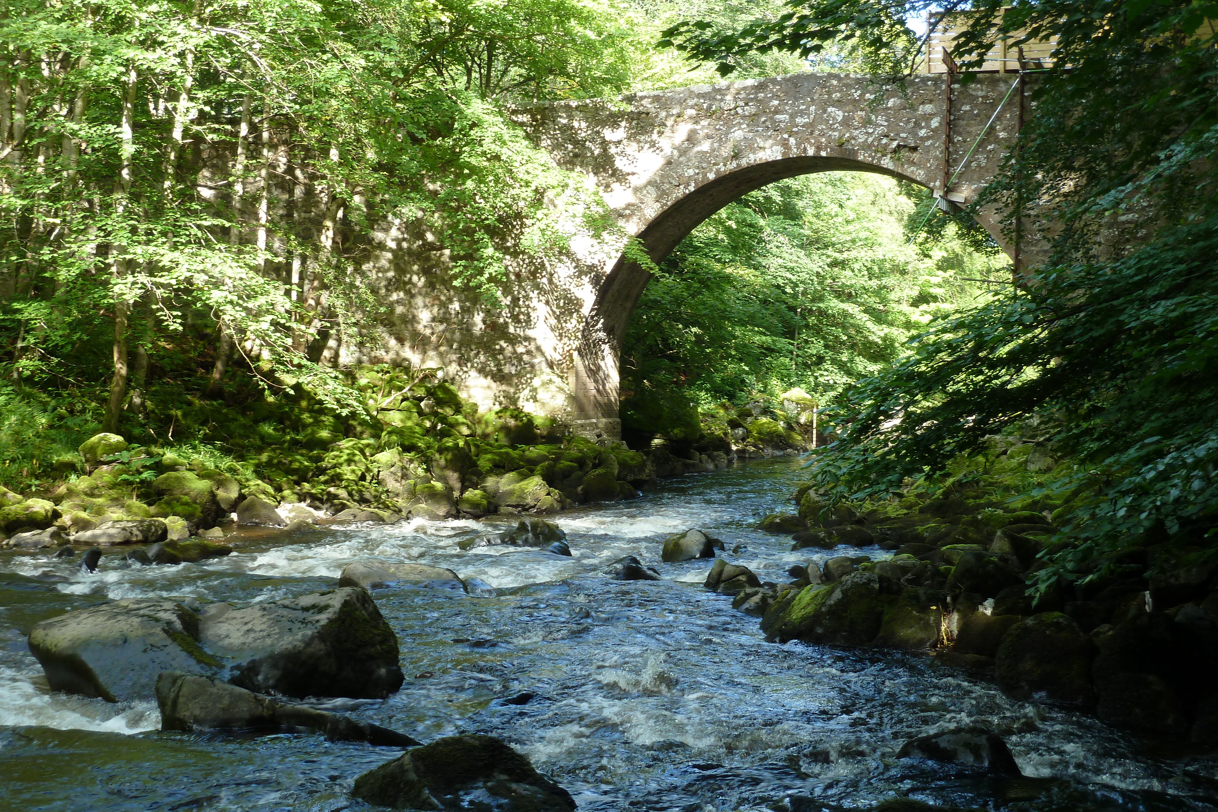 Picture United Kingdom Scotland 2011-07 81 - Journey Scotland