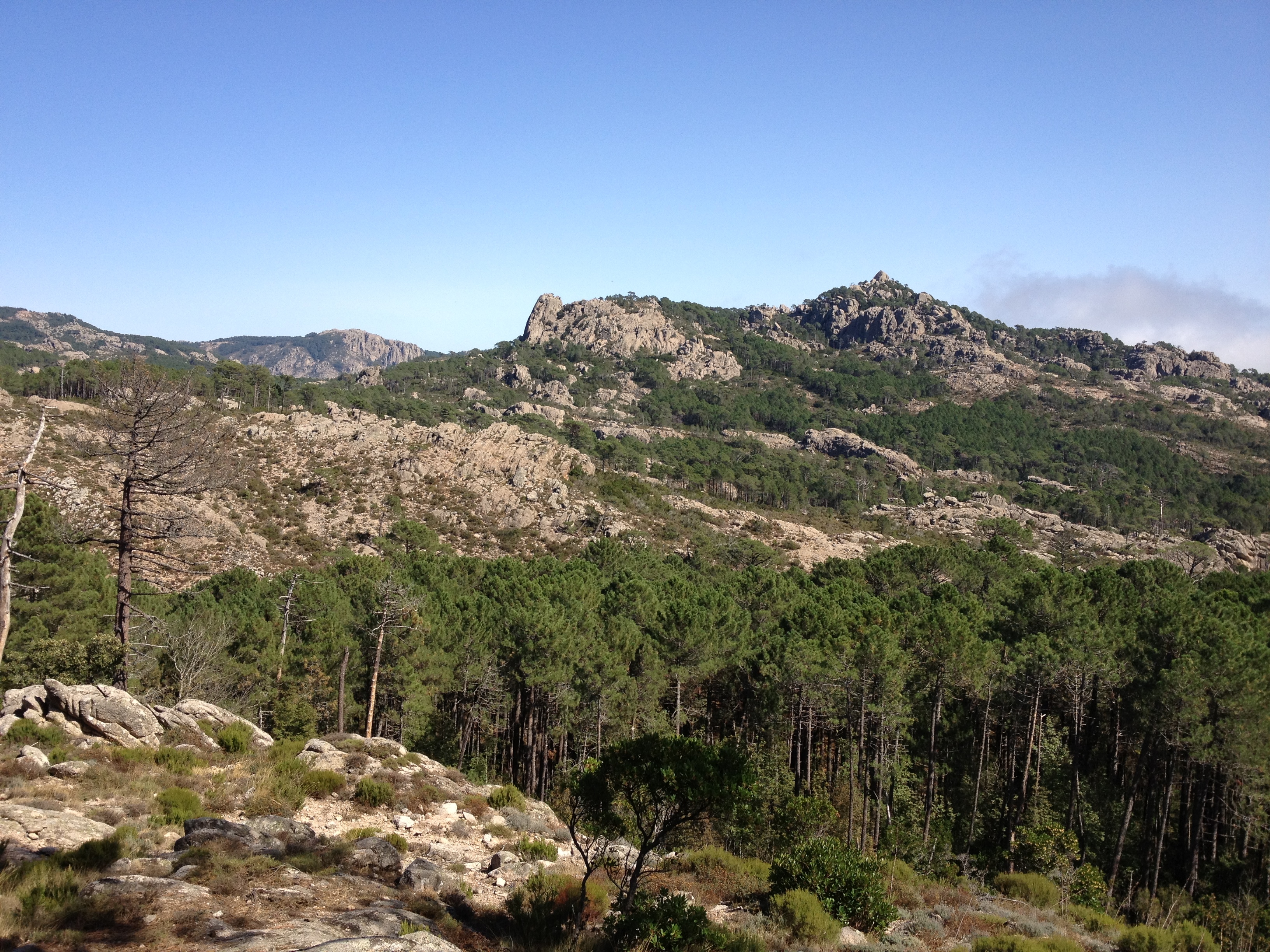 Picture France Corsica L'ospedale Forest 2012-09 9 - Discovery L'ospedale Forest