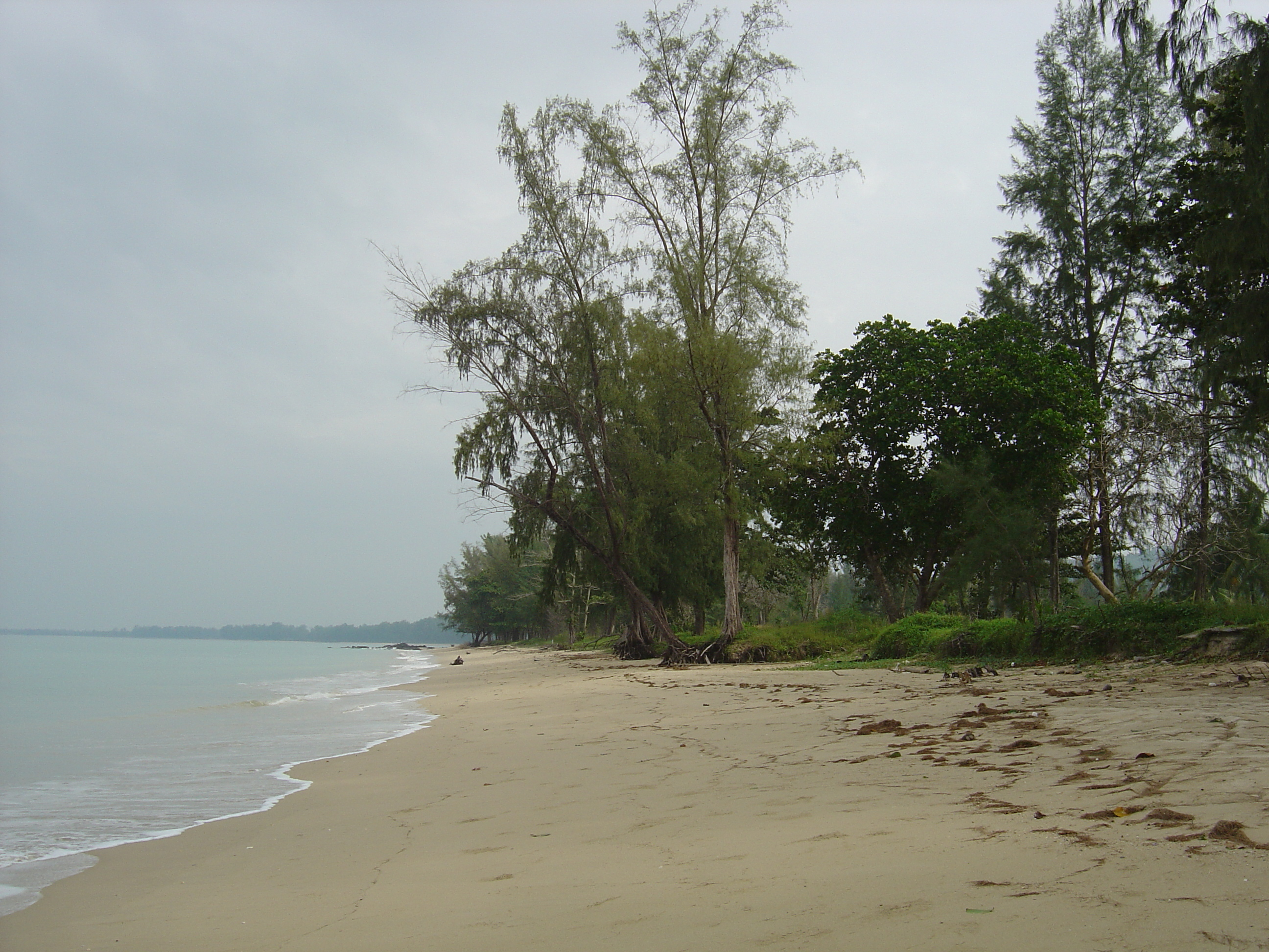 Picture Thailand Khao Lak Bang Sak Beach 2005-12 53 - Center Bang Sak Beach