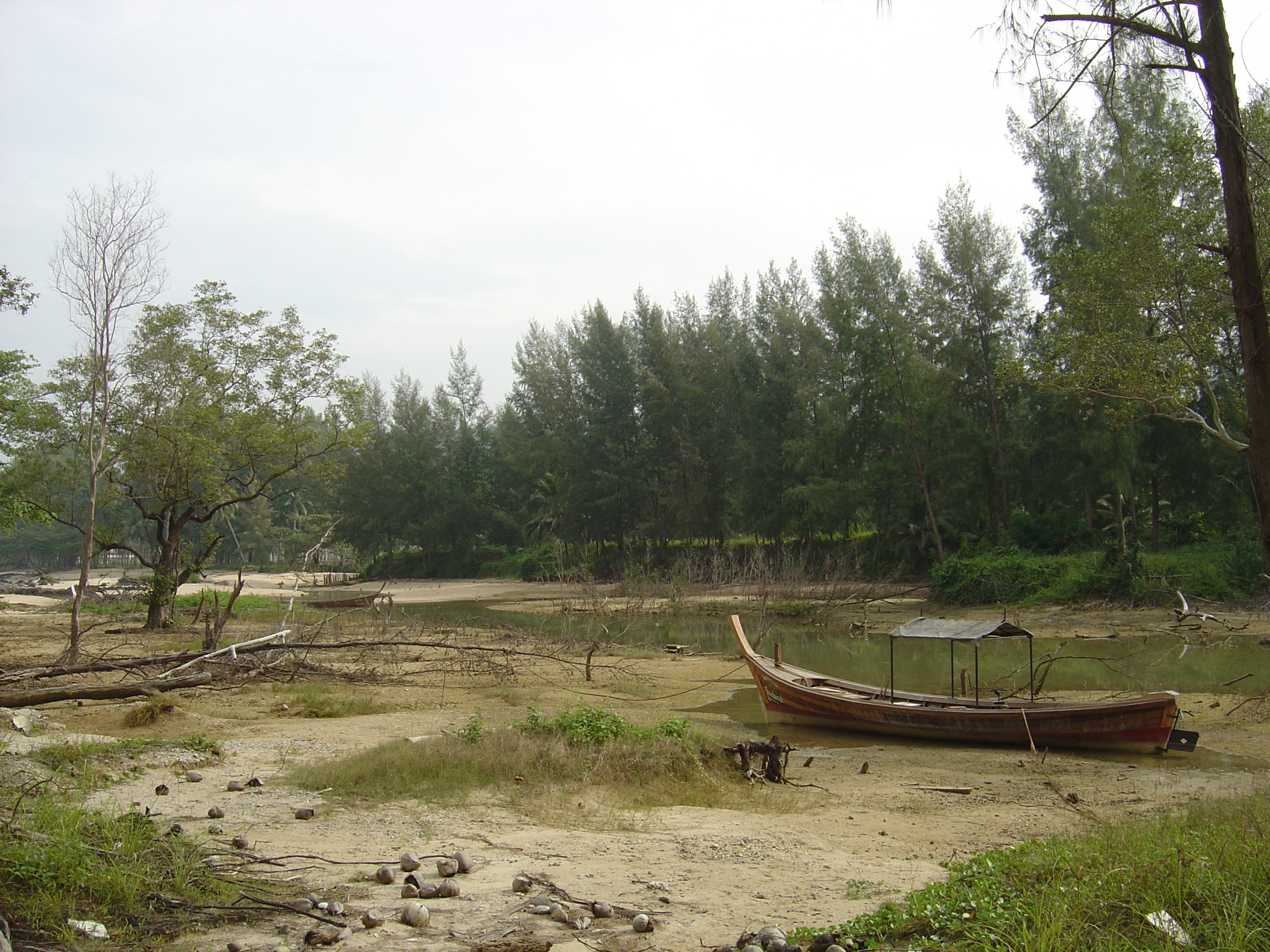 Picture Thailand Khao Lak Bang Sak Beach 2005-12 42 - Journey Bang Sak Beach