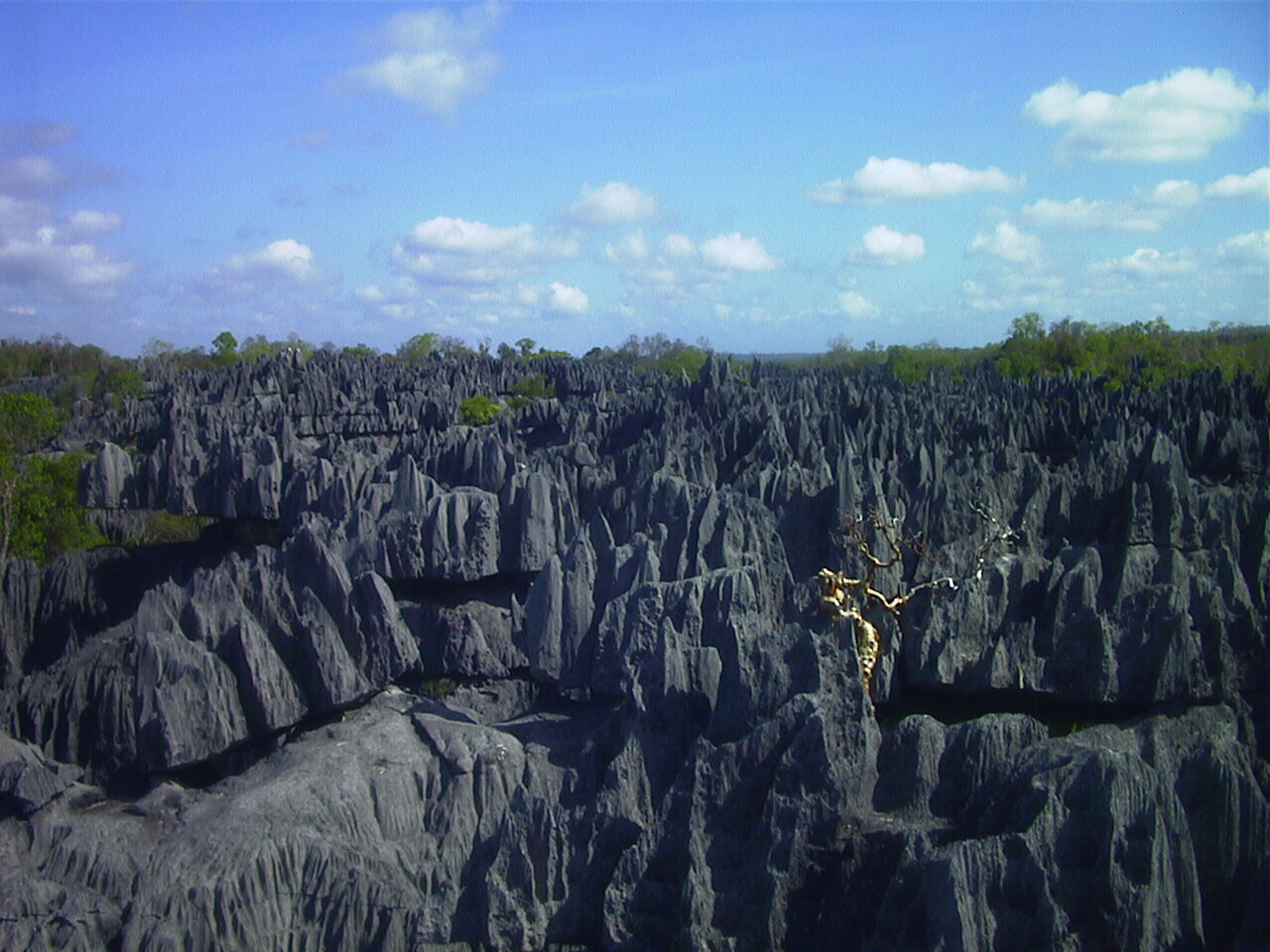 Picture Madagascar Tsingy 1999-10 23 - Around Tsingy