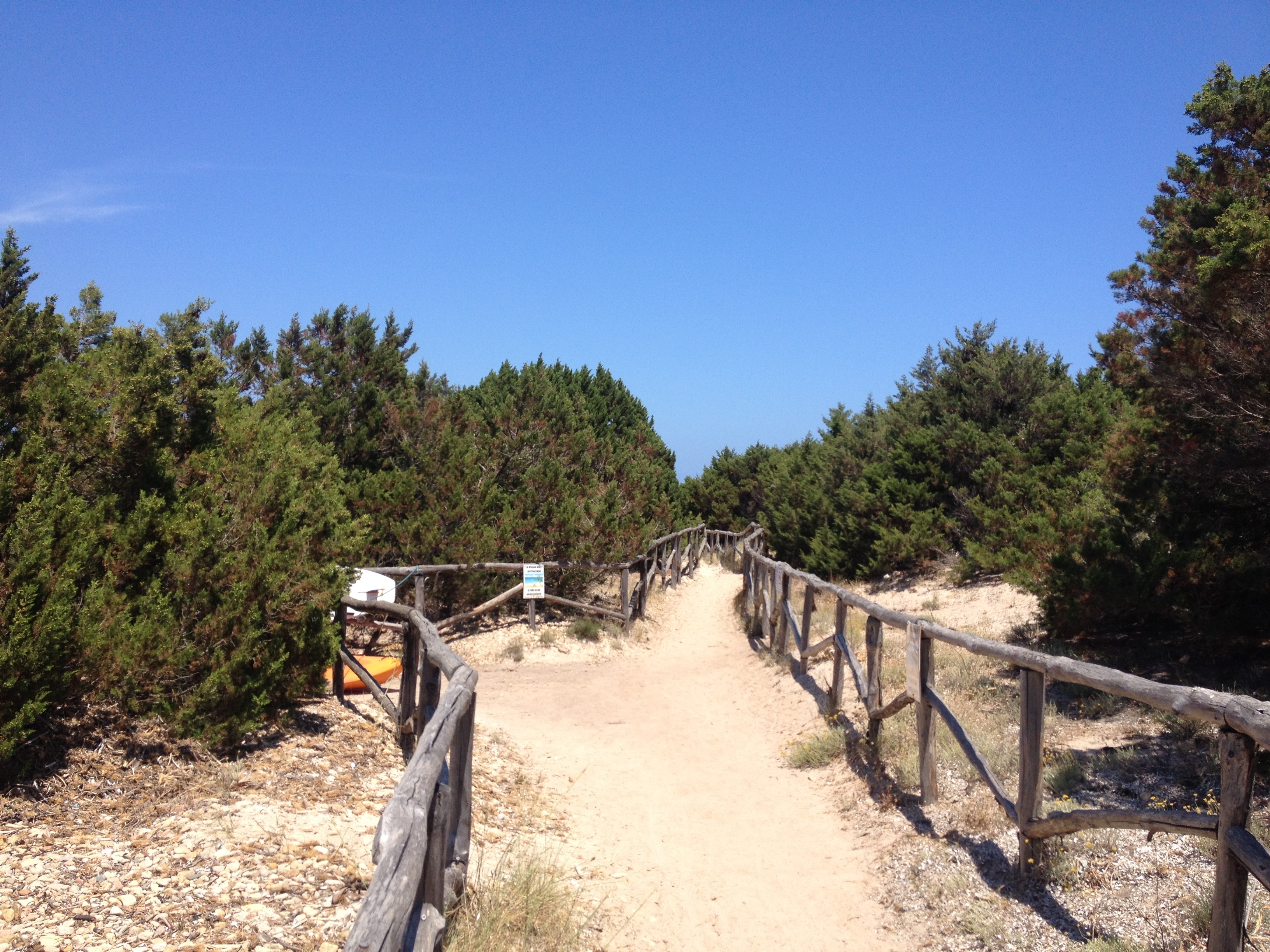 Picture Italy Sardinia Capo Coda Cavallo 2015-06 83 - Discovery Capo Coda Cavallo