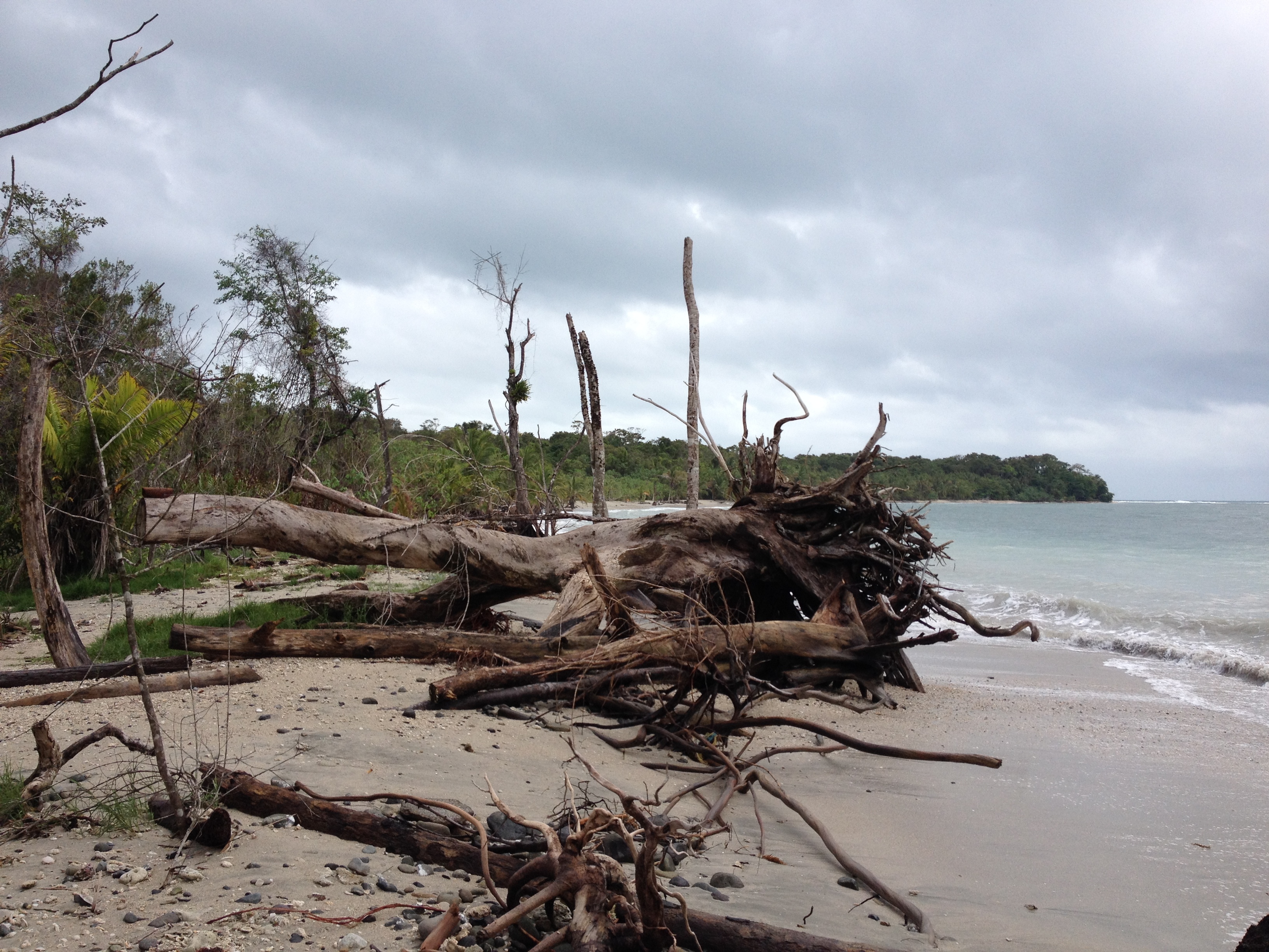 Picture Costa Rica Cahuita 2015-03 10 - Discovery Cahuita