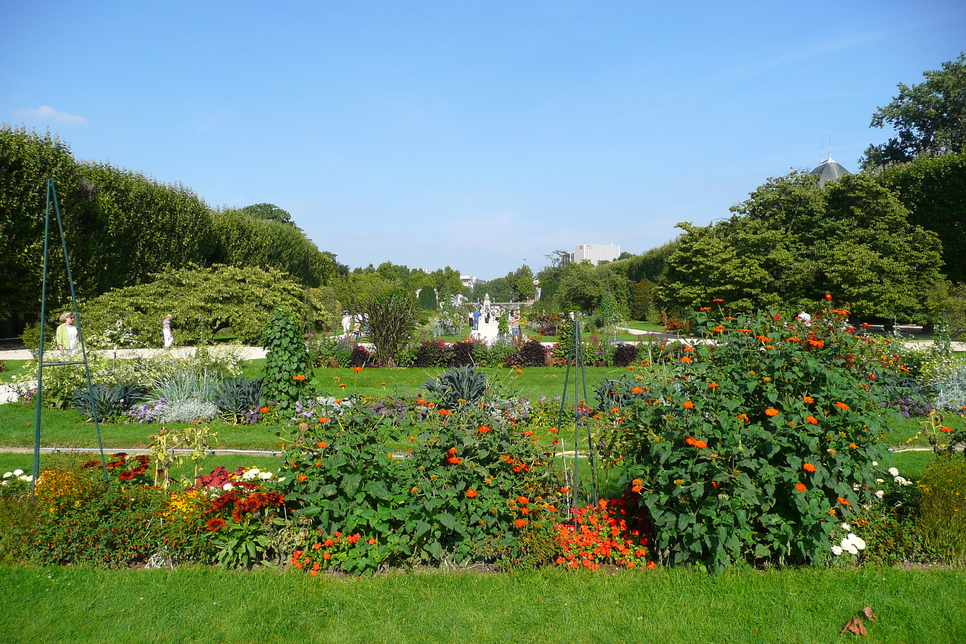 Picture France Paris Jardin des Plantes 2007-08 189 - Recreation Jardin des Plantes