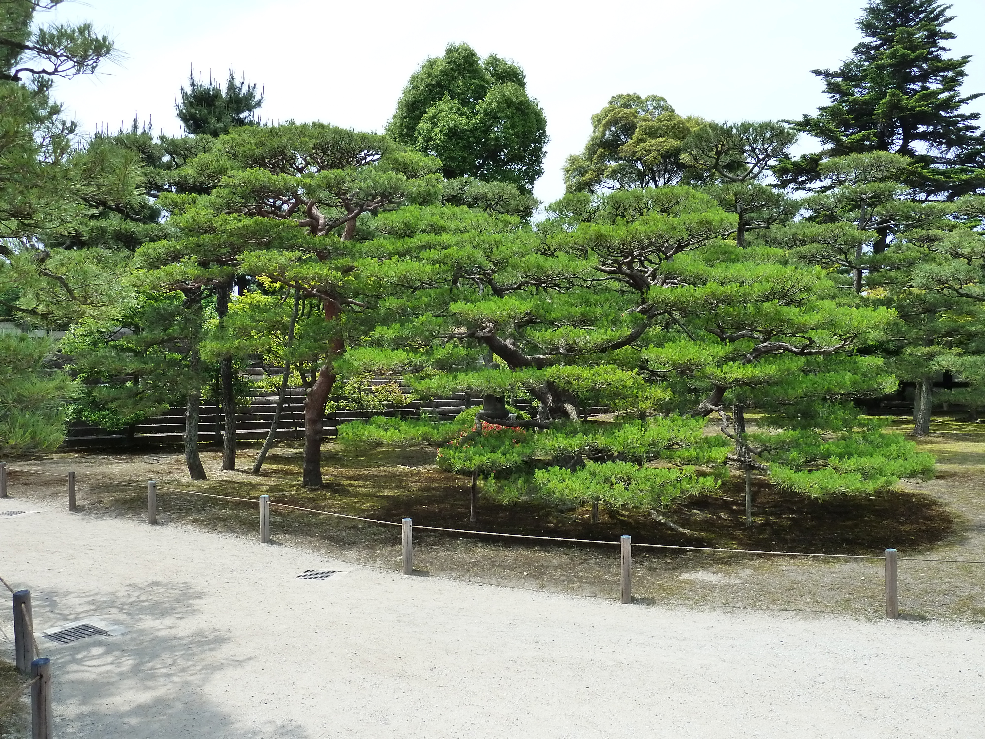 Picture Japan Kyoto Nijo Castle Honmaru Palace 2010-06 16 - Tour Honmaru Palace