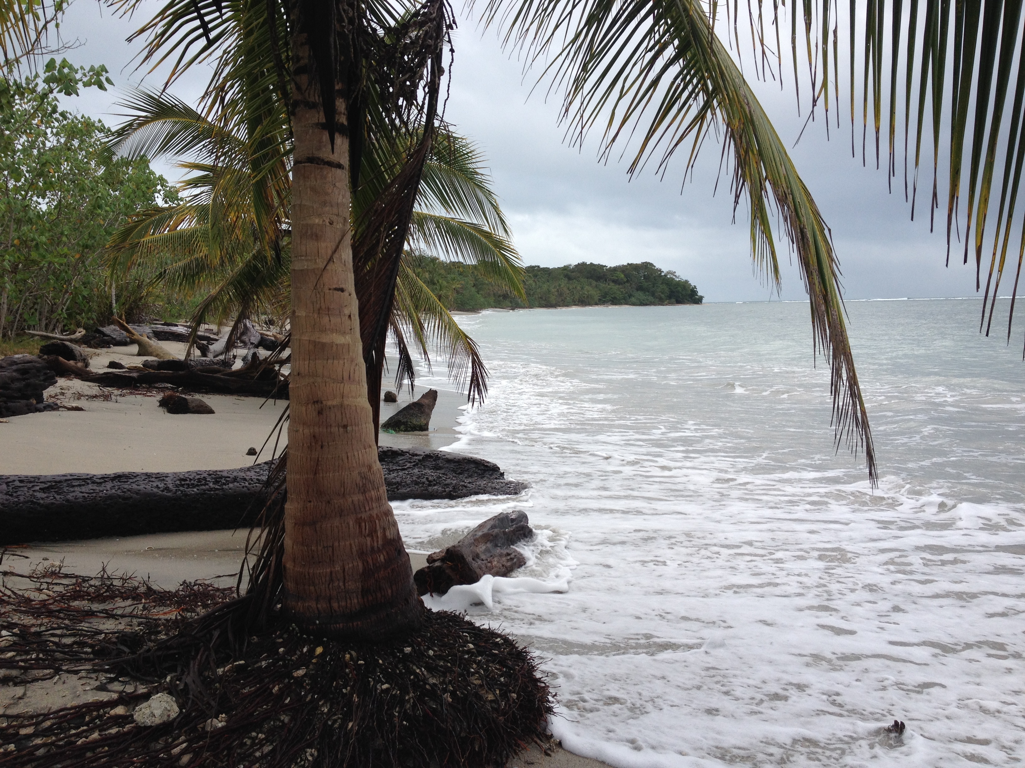 Picture Costa Rica Cahuita 2015-03 63 - Around Cahuita