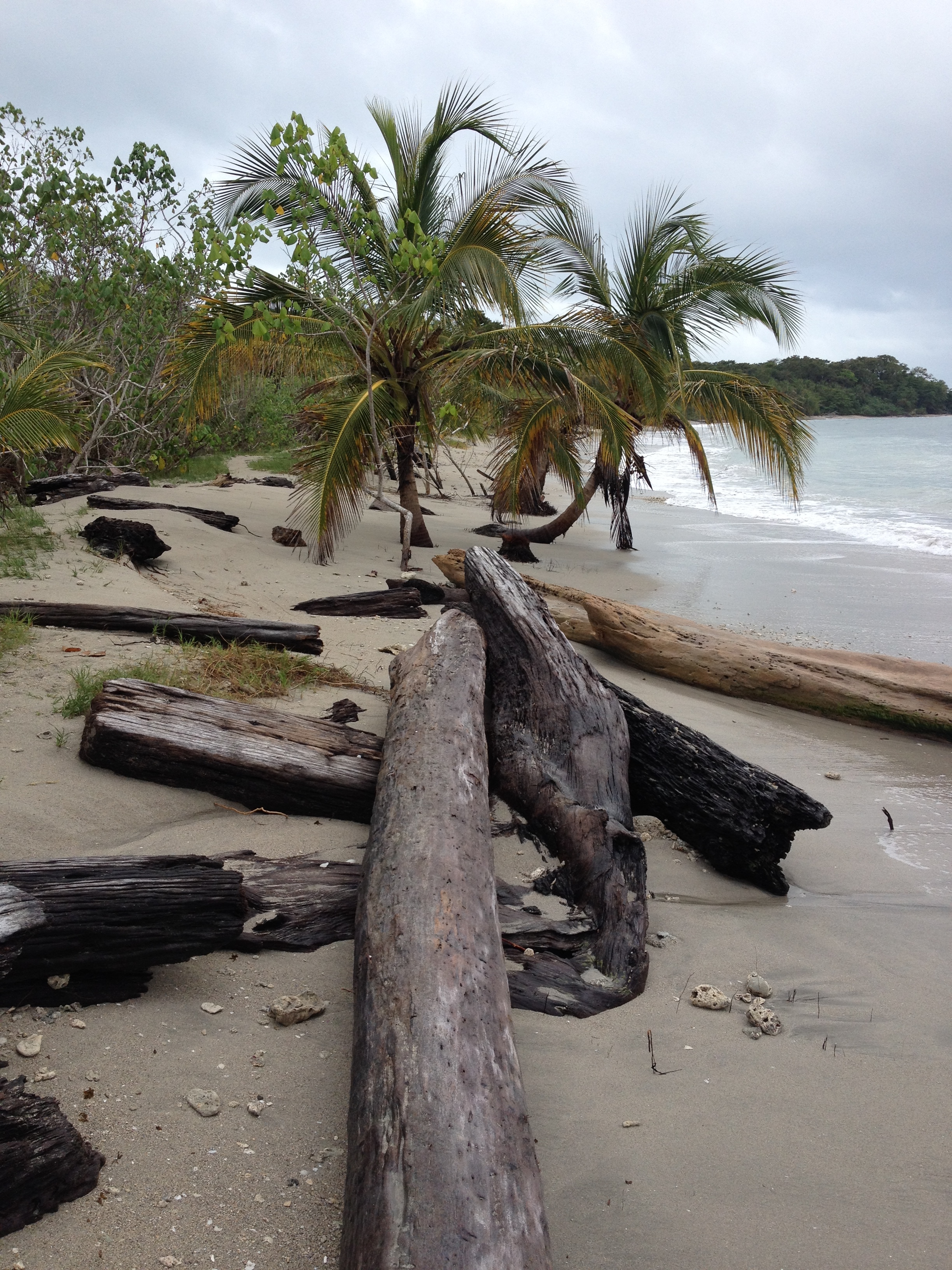 Picture Costa Rica Cahuita 2015-03 234 - History Cahuita